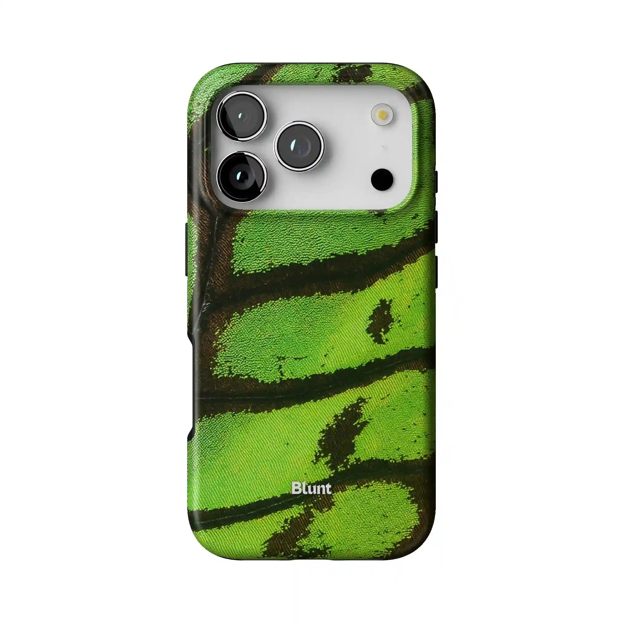 bluntcasesonline.com