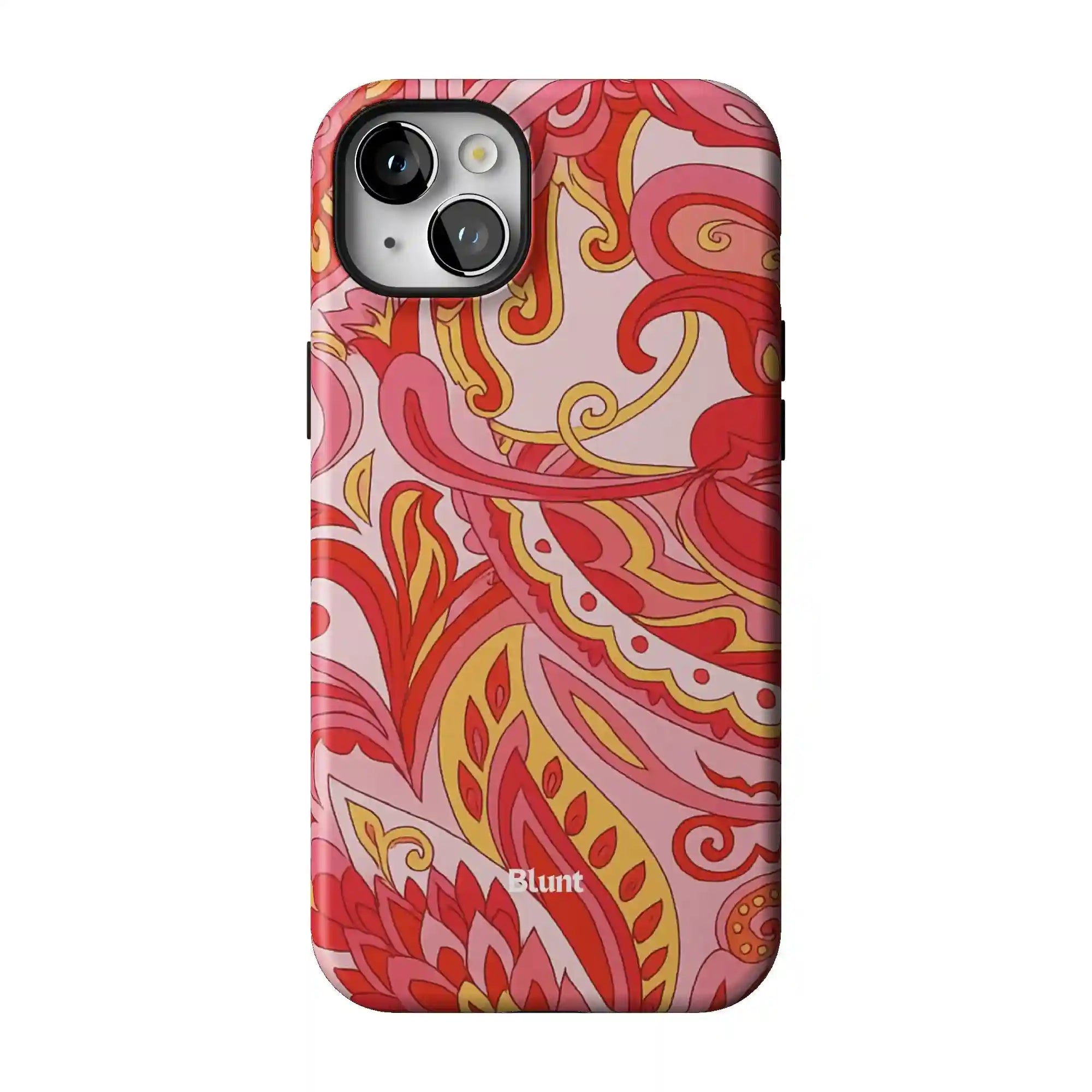 bluntcasesonline.com