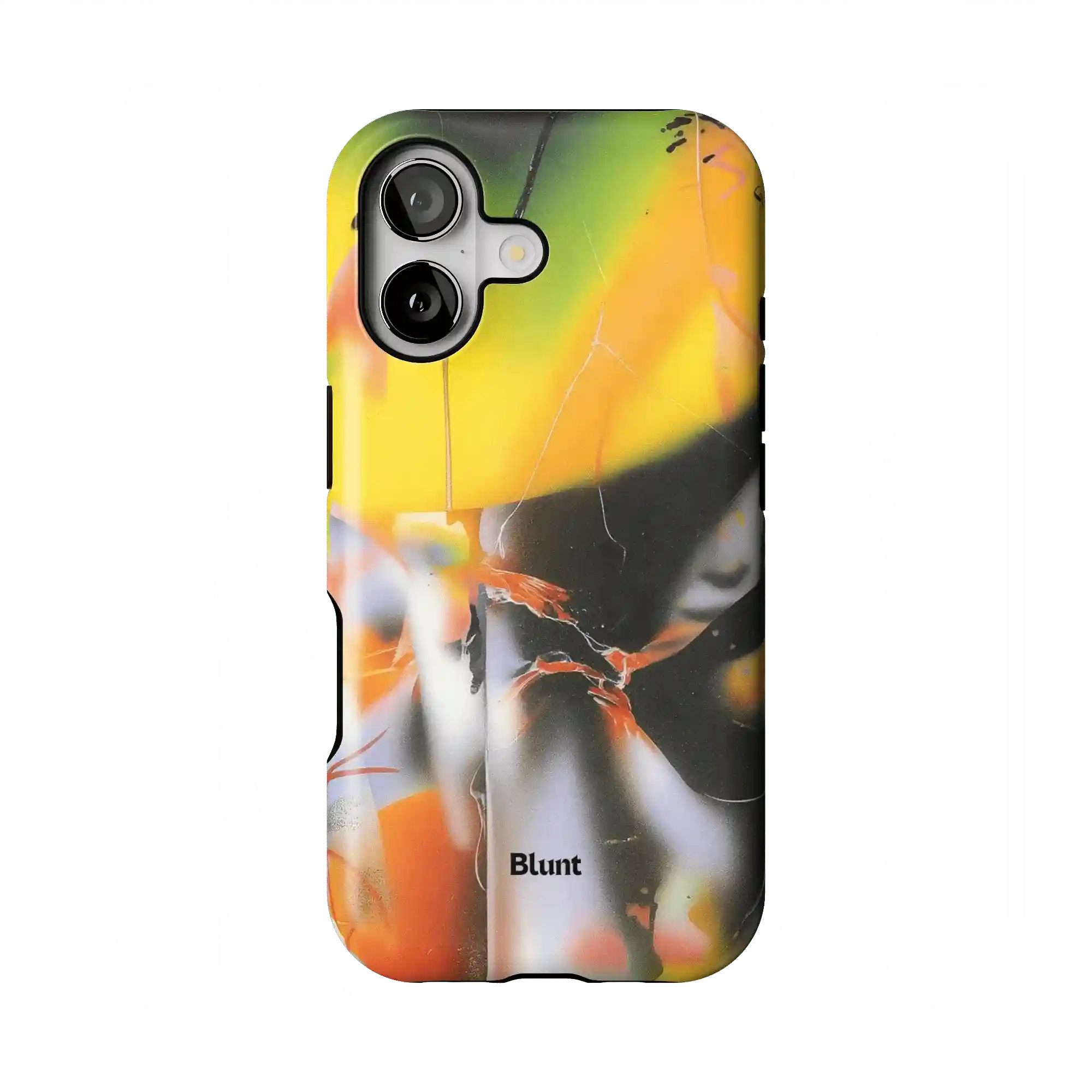 bluntcasesonline.com