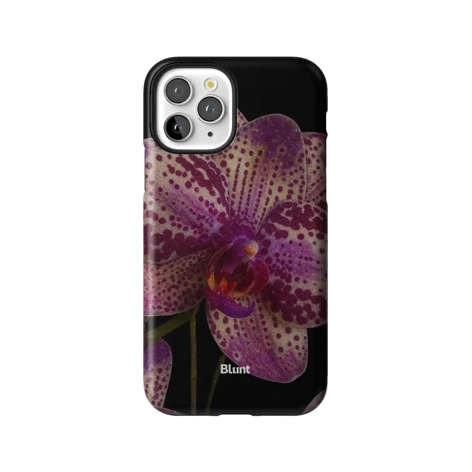 bluntcasesonline.com