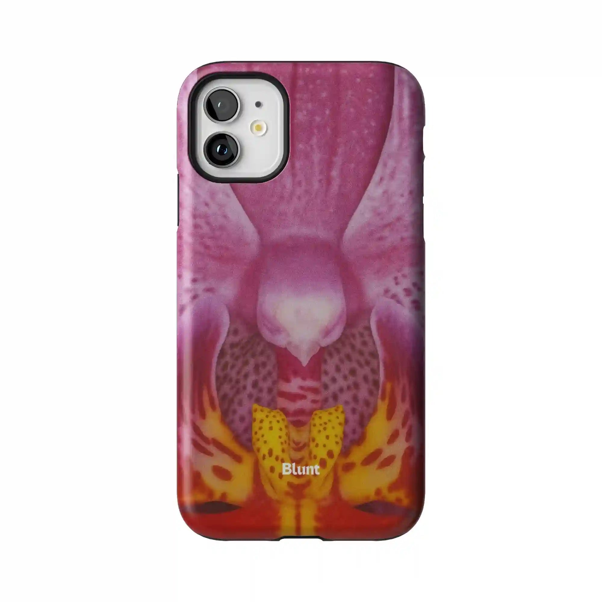 bluntcasesonline.com