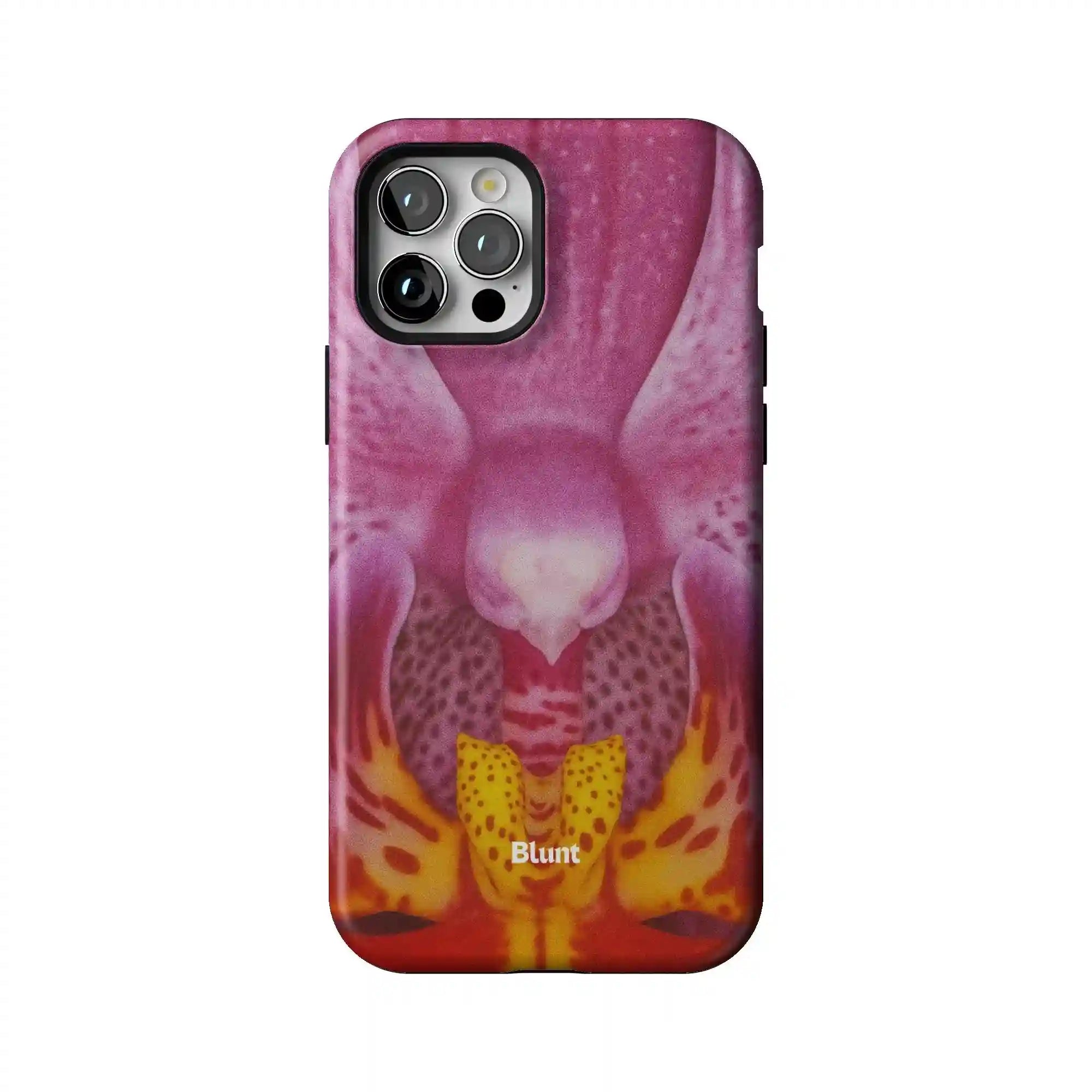 bluntcasesonline.com