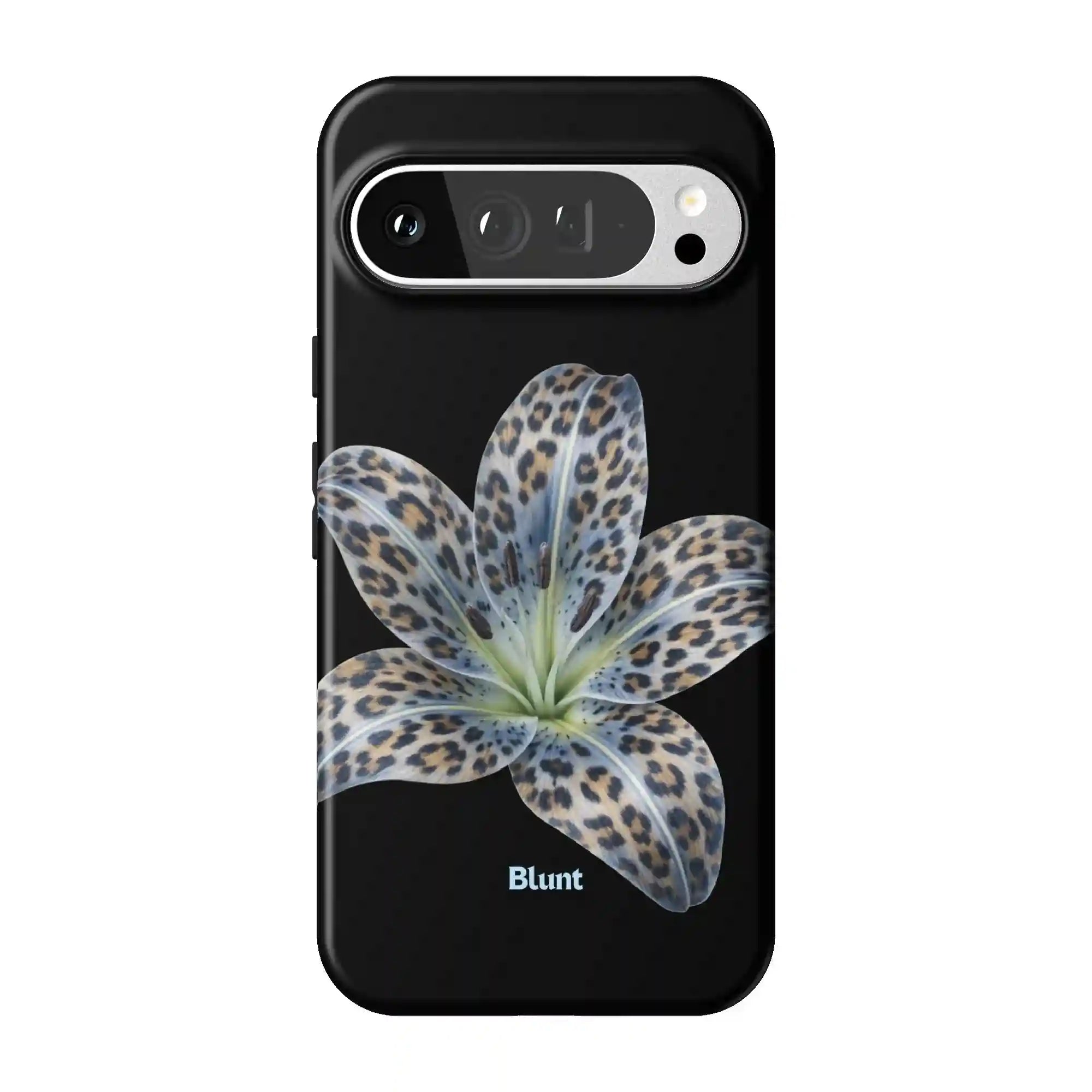 bluntcasesonline.com