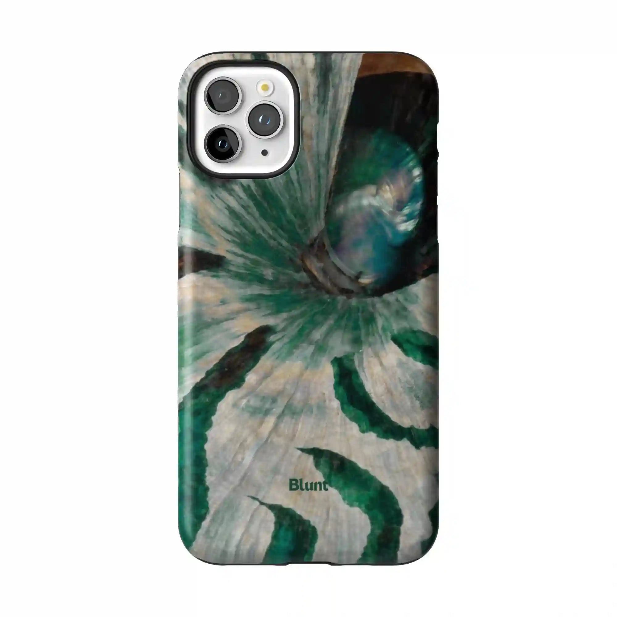 bluntcasesonline.com