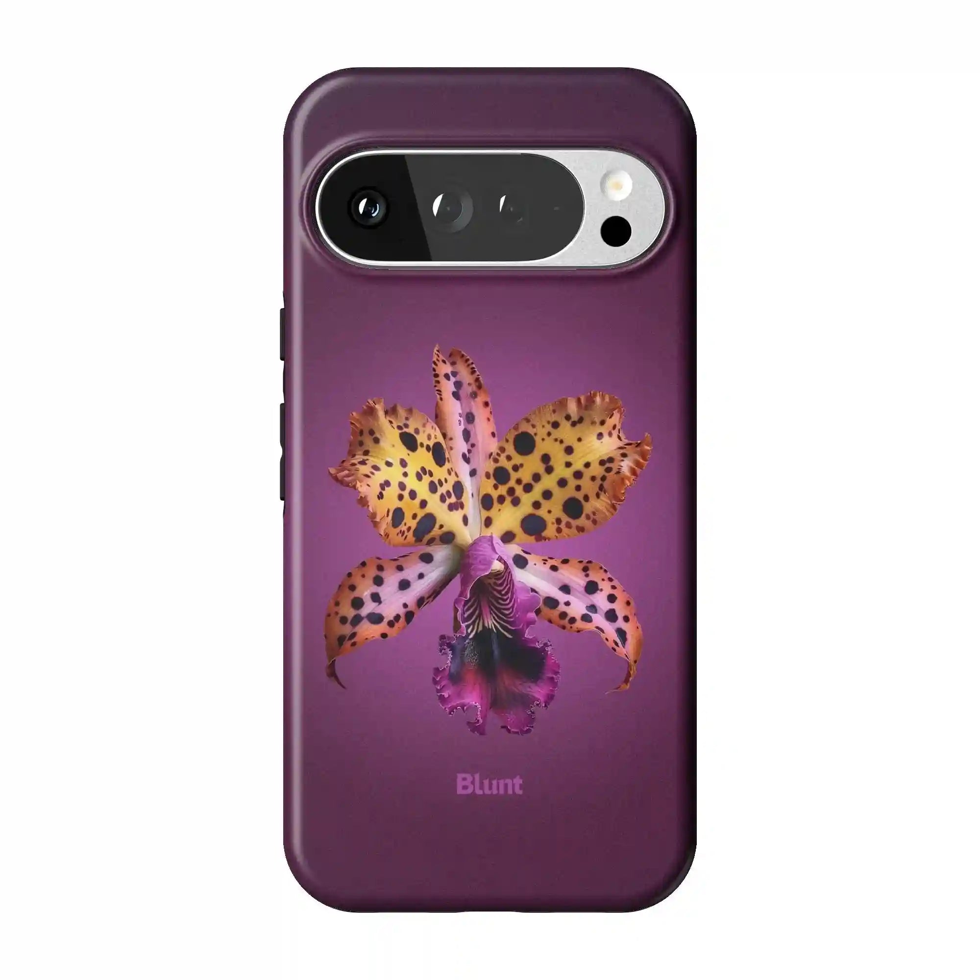 bluntcasesonline.com
