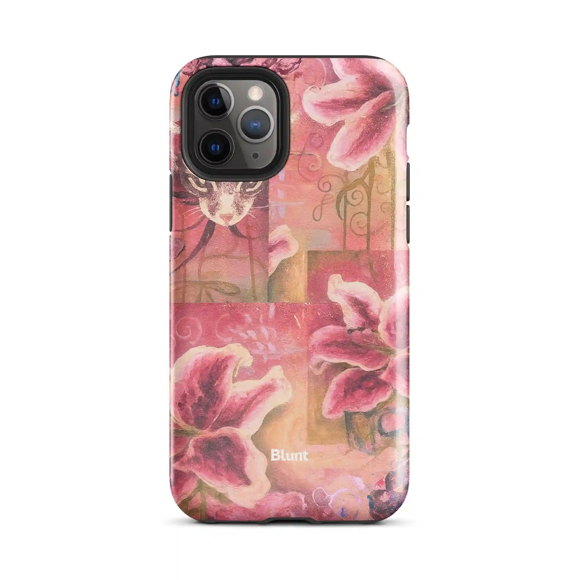 bluntcasesonline.com
