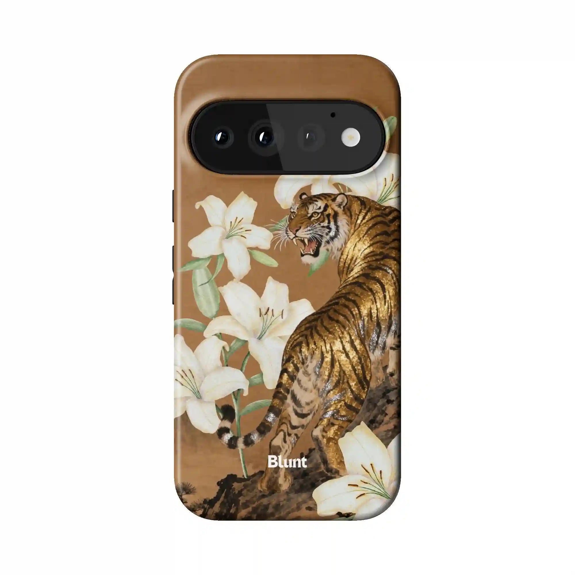bluntcasesonline.com