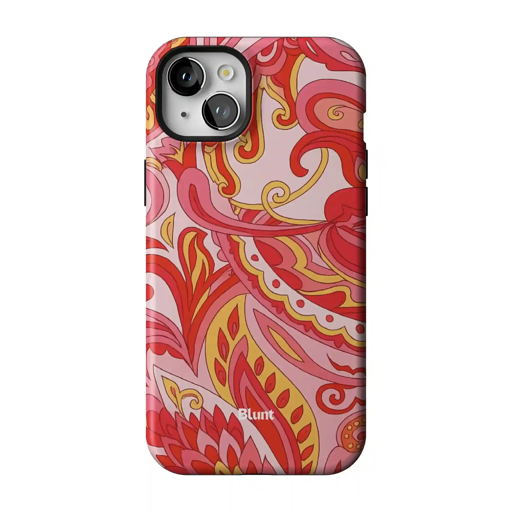 bluntcasesonline.com