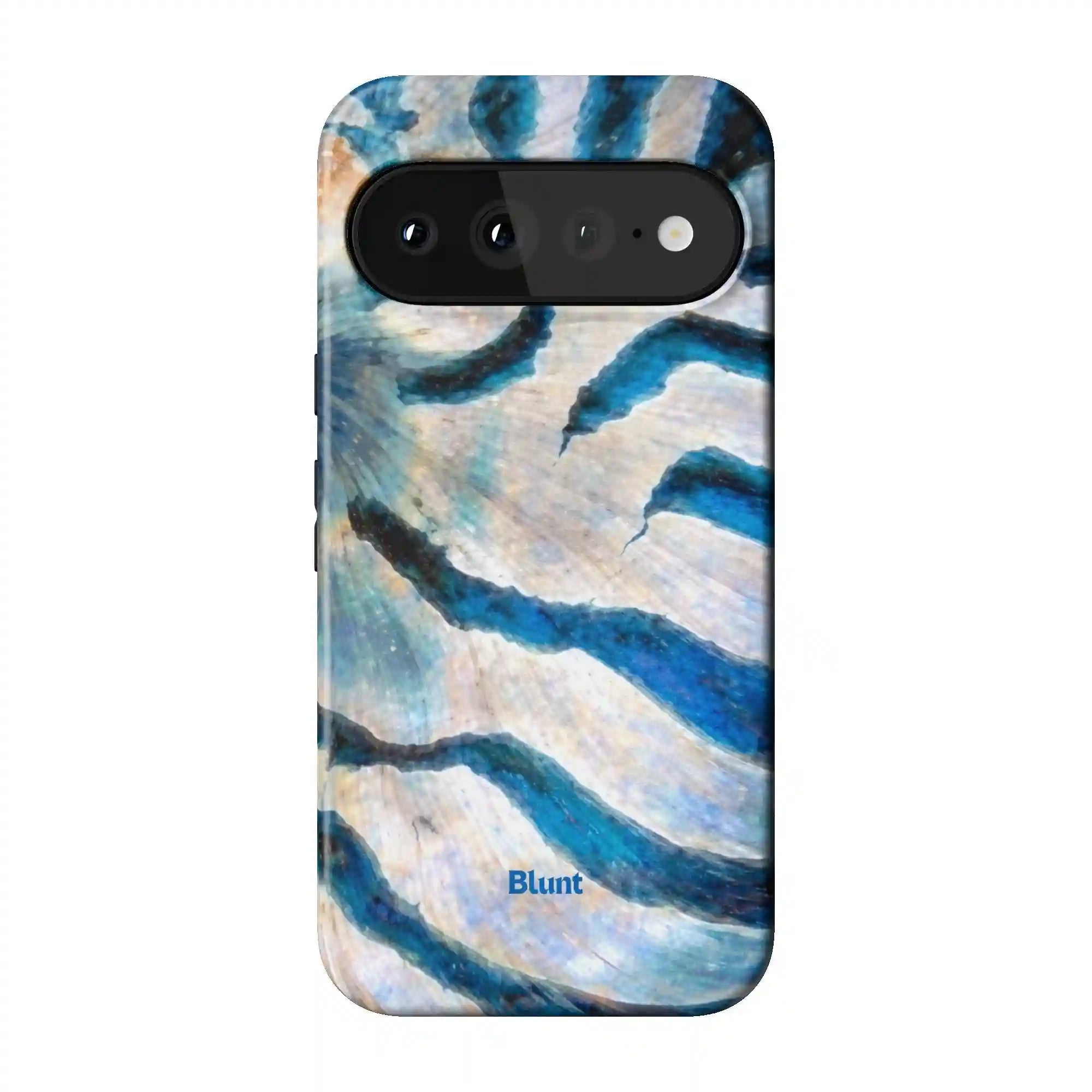 bluntcasesonline.com