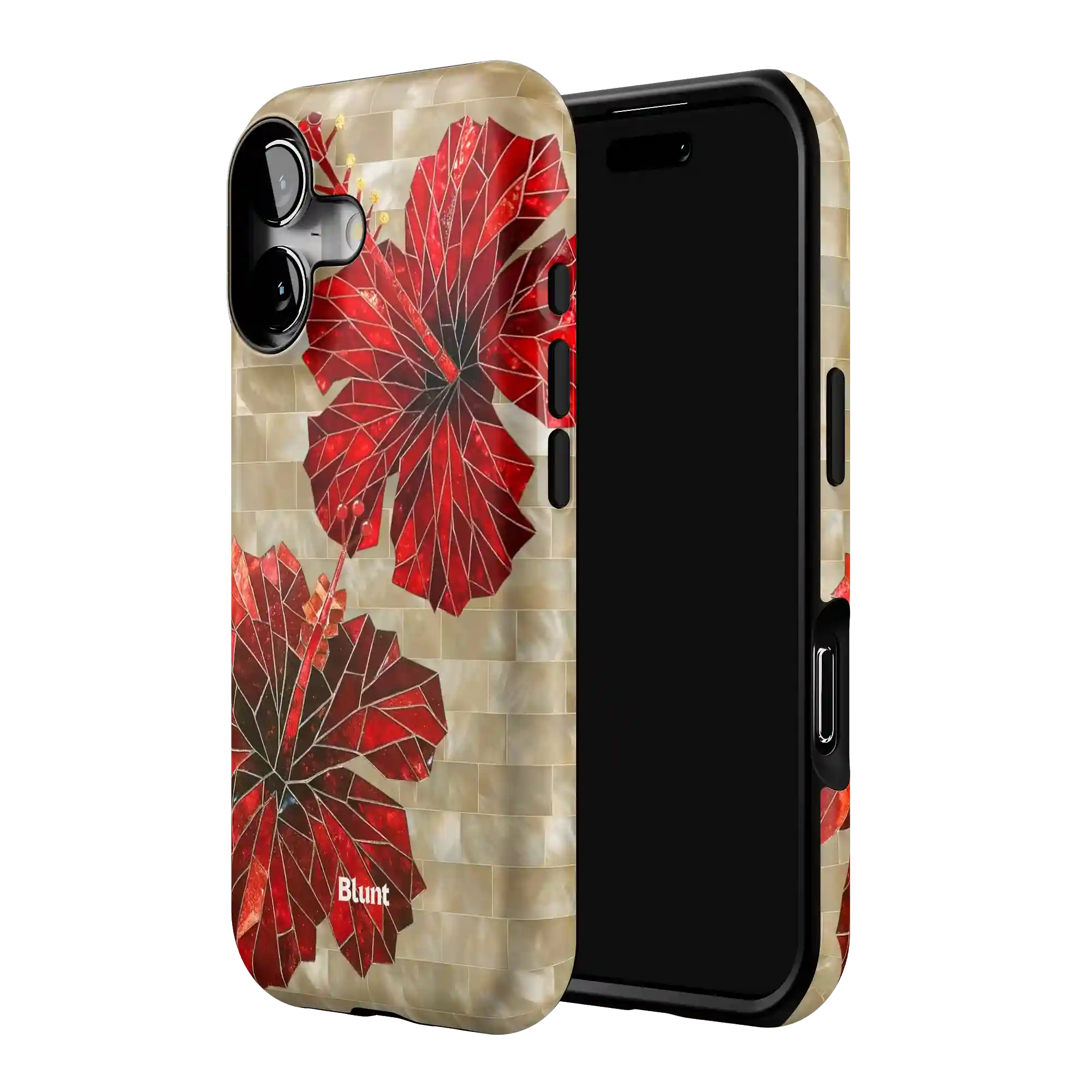 bluntcasesonline.com