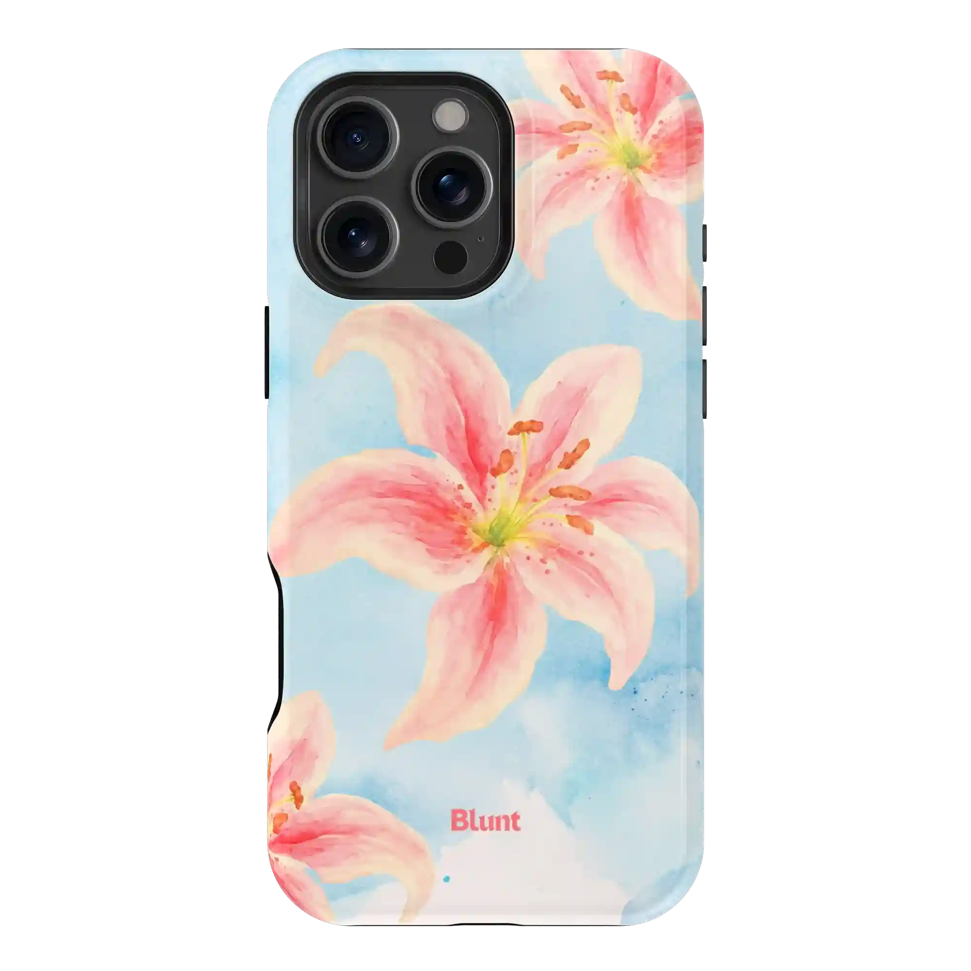 bluntcasesonline.com