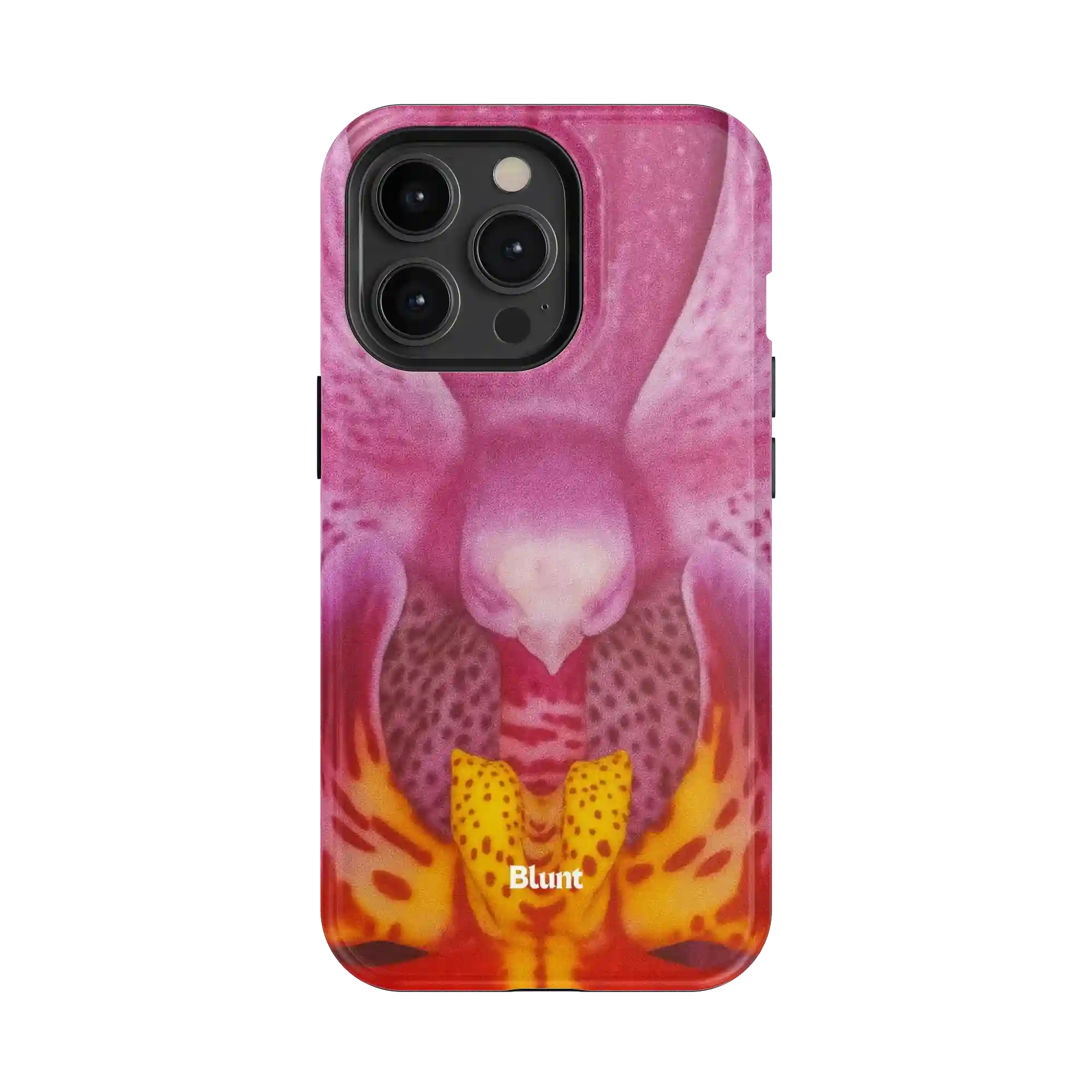 bluntcasesonline.com
