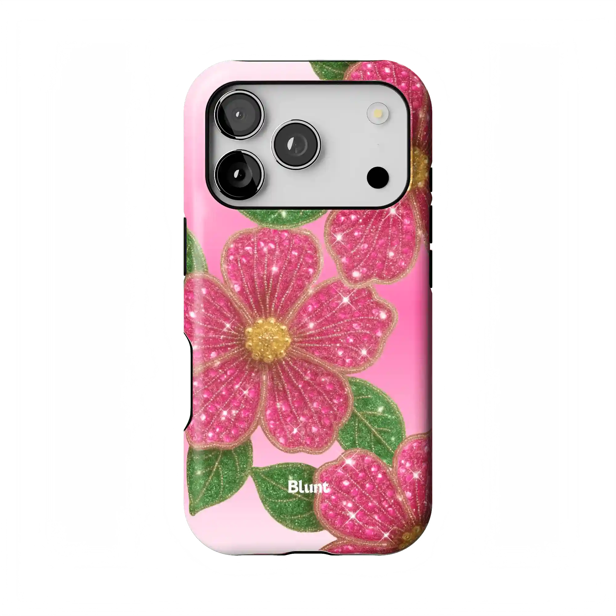 bluntcasesonline.com