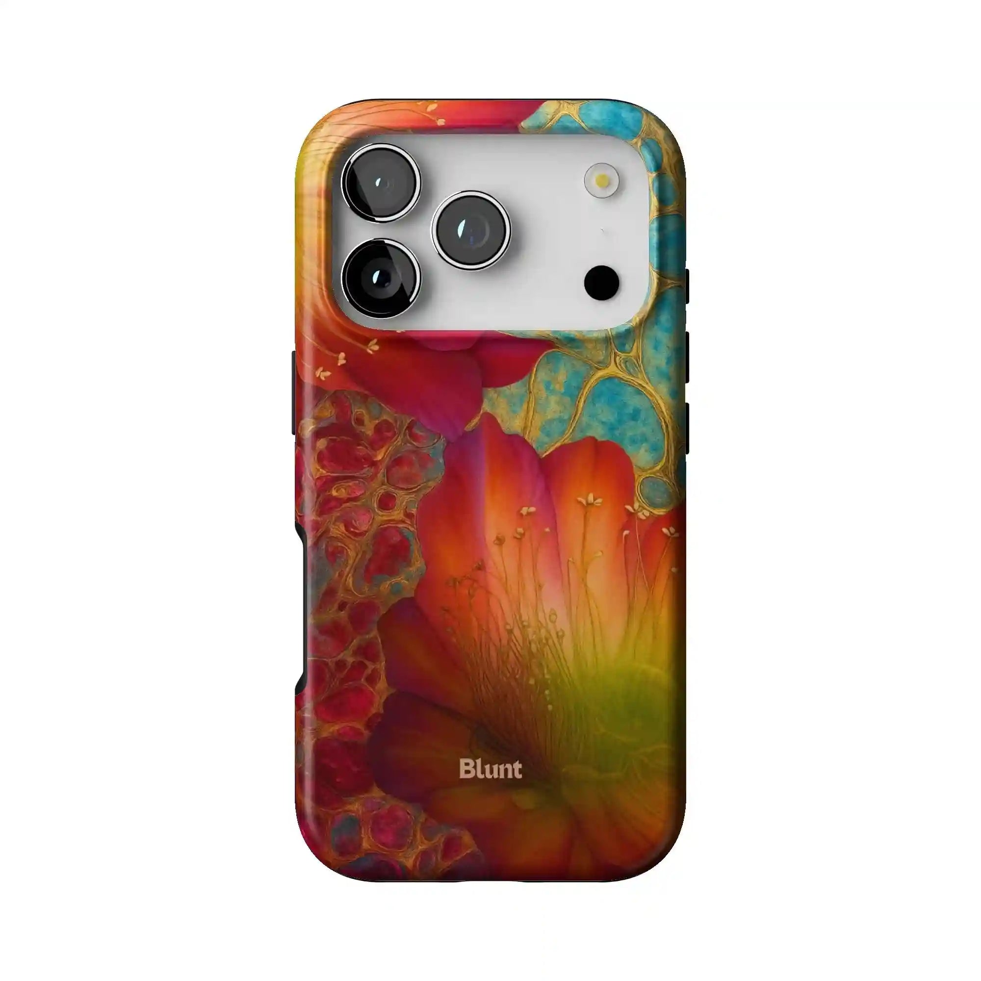 bluntcasesonline.com