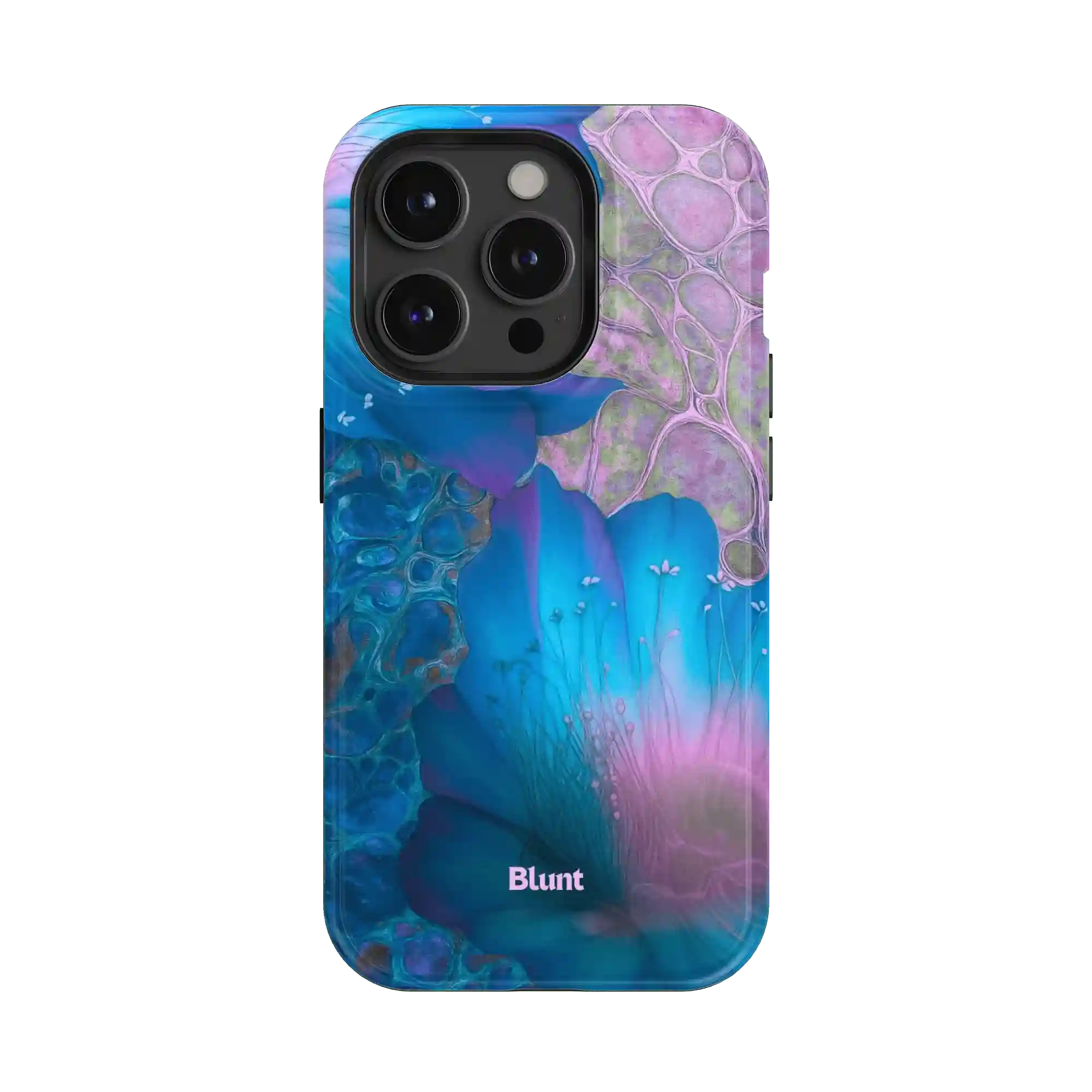 bluntcasesonline.com