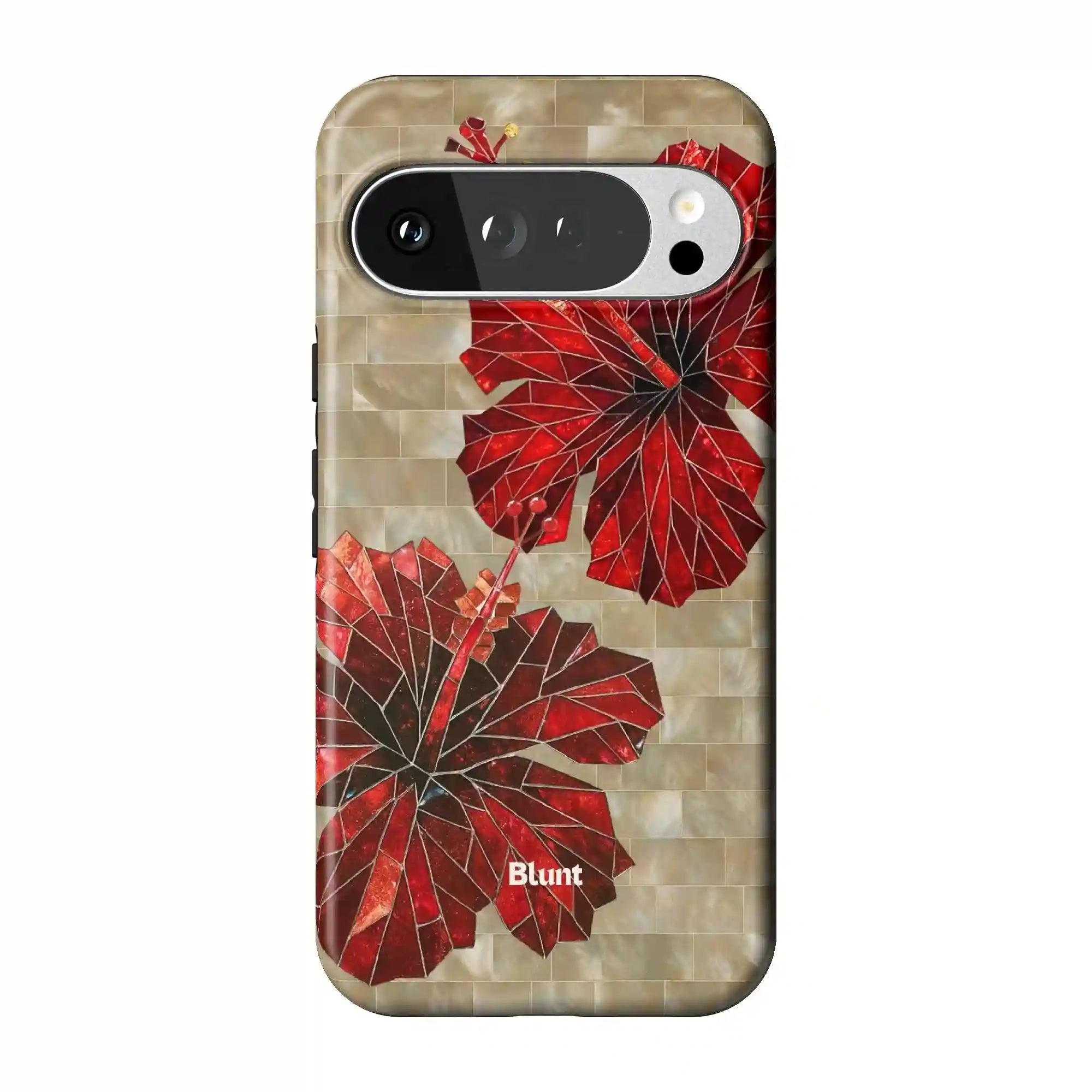bluntcasesonline.com