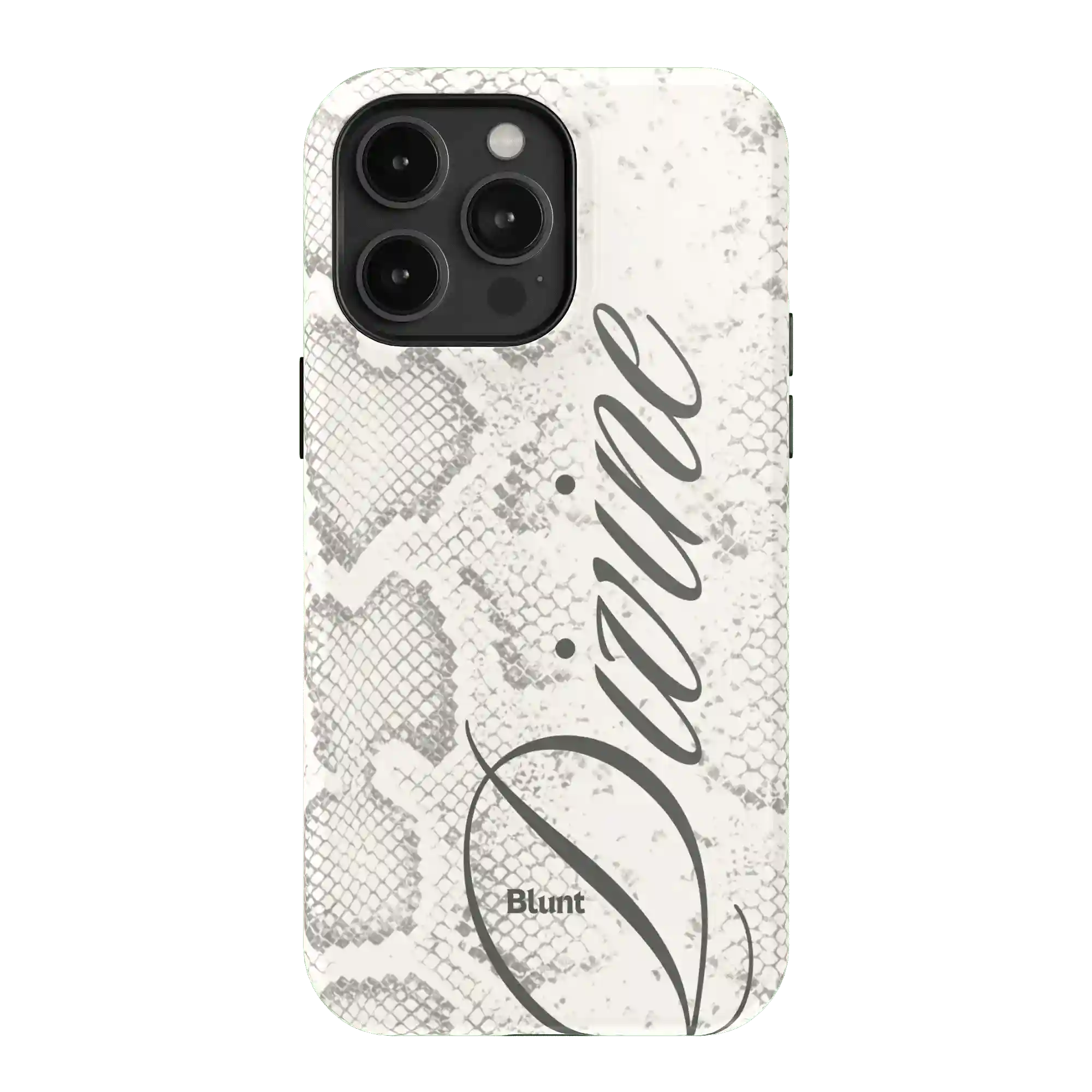 bluntcasesonline.com