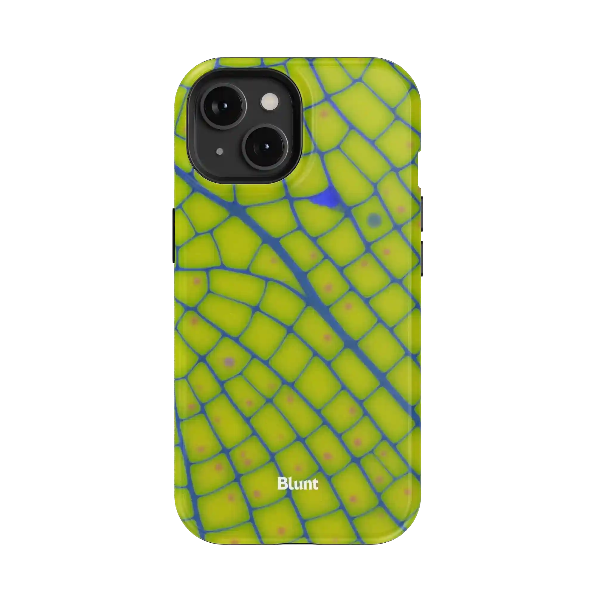 bluntcasesonline.com
