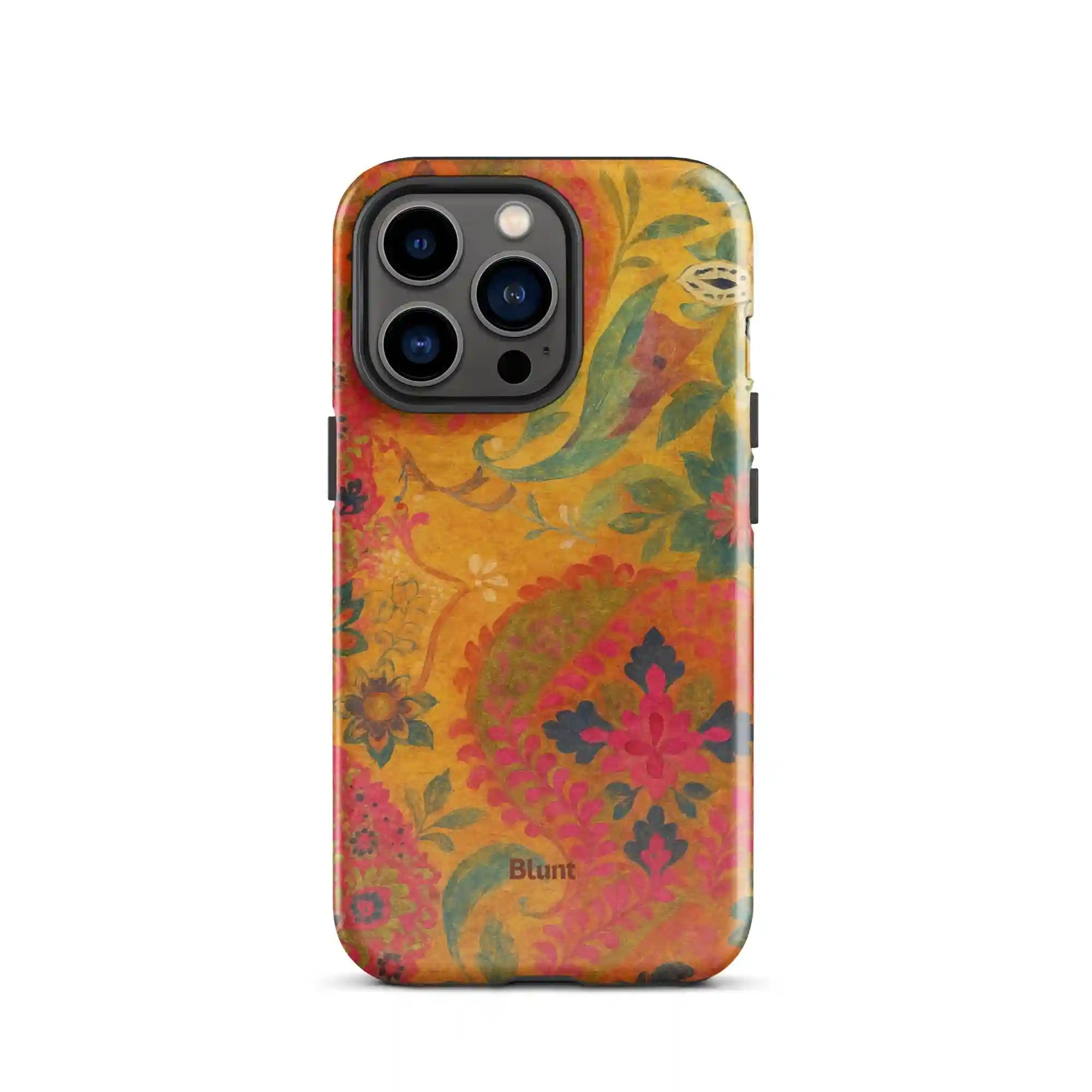 bluntcasesonline.com