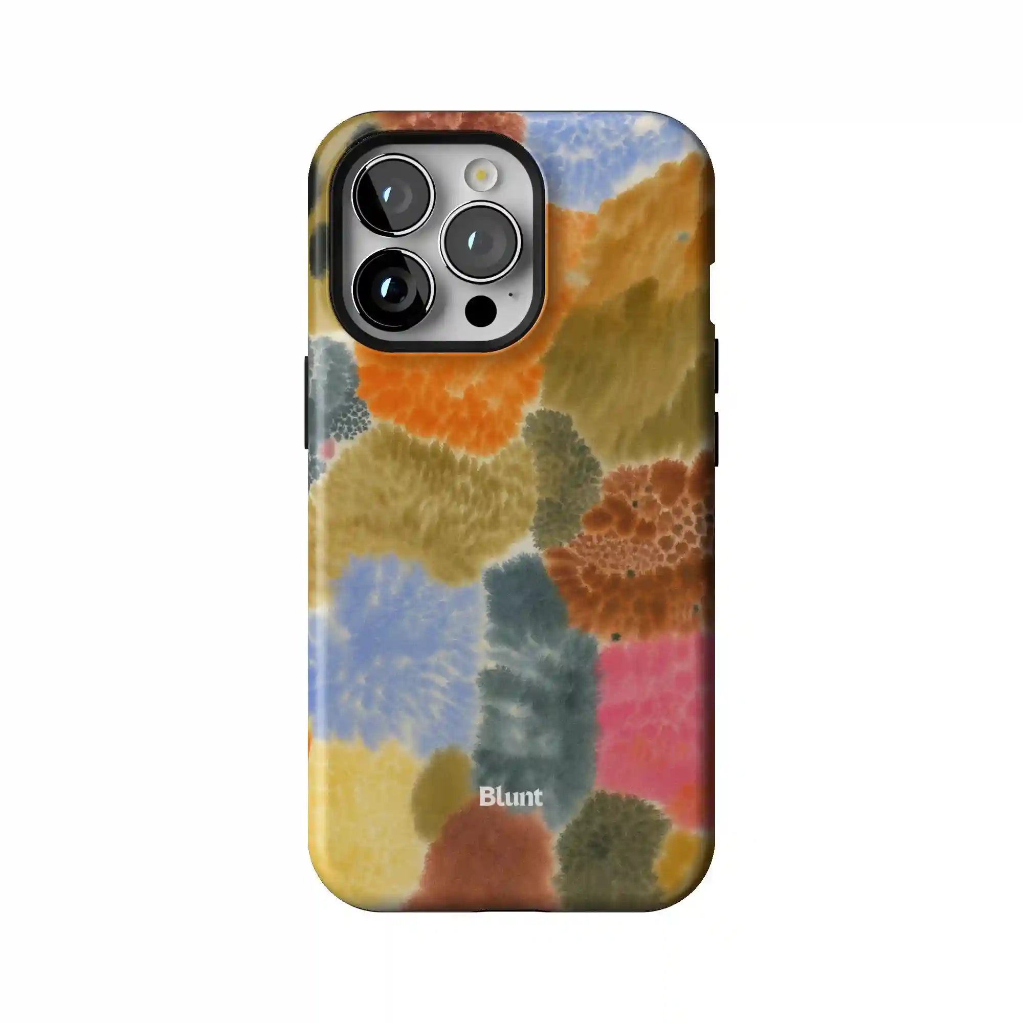 bluntcasesonline.com