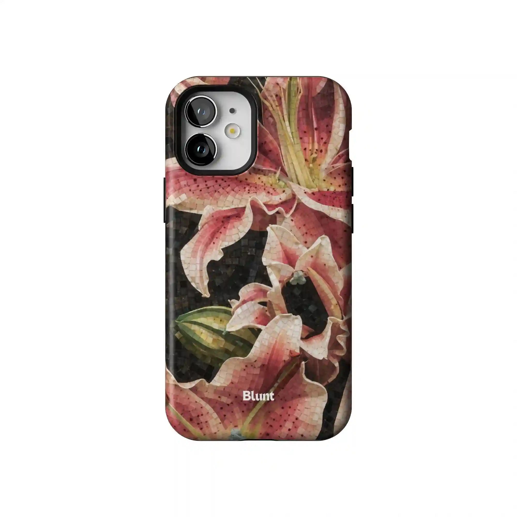bluntcasesonline.com