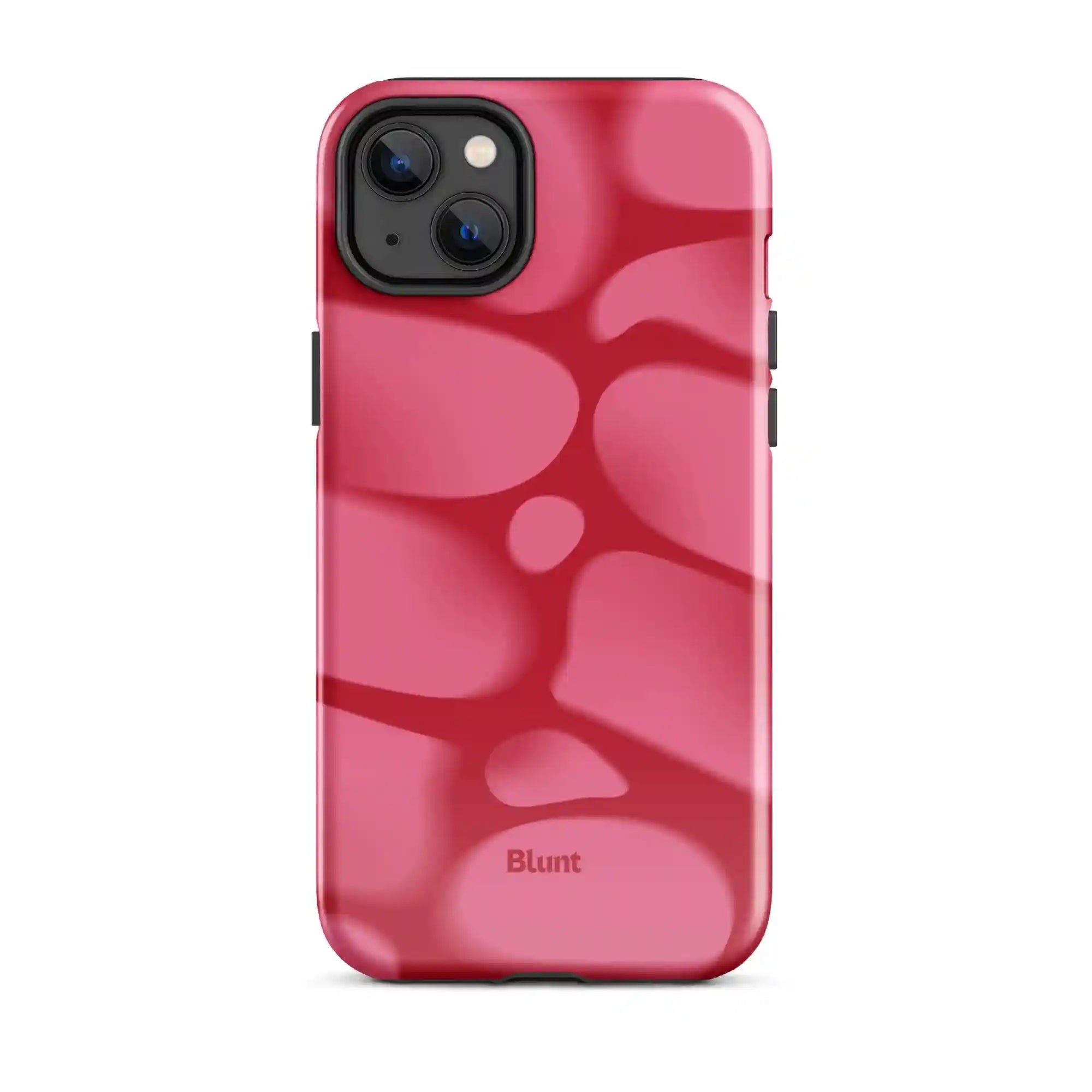bluntcasesonline.com