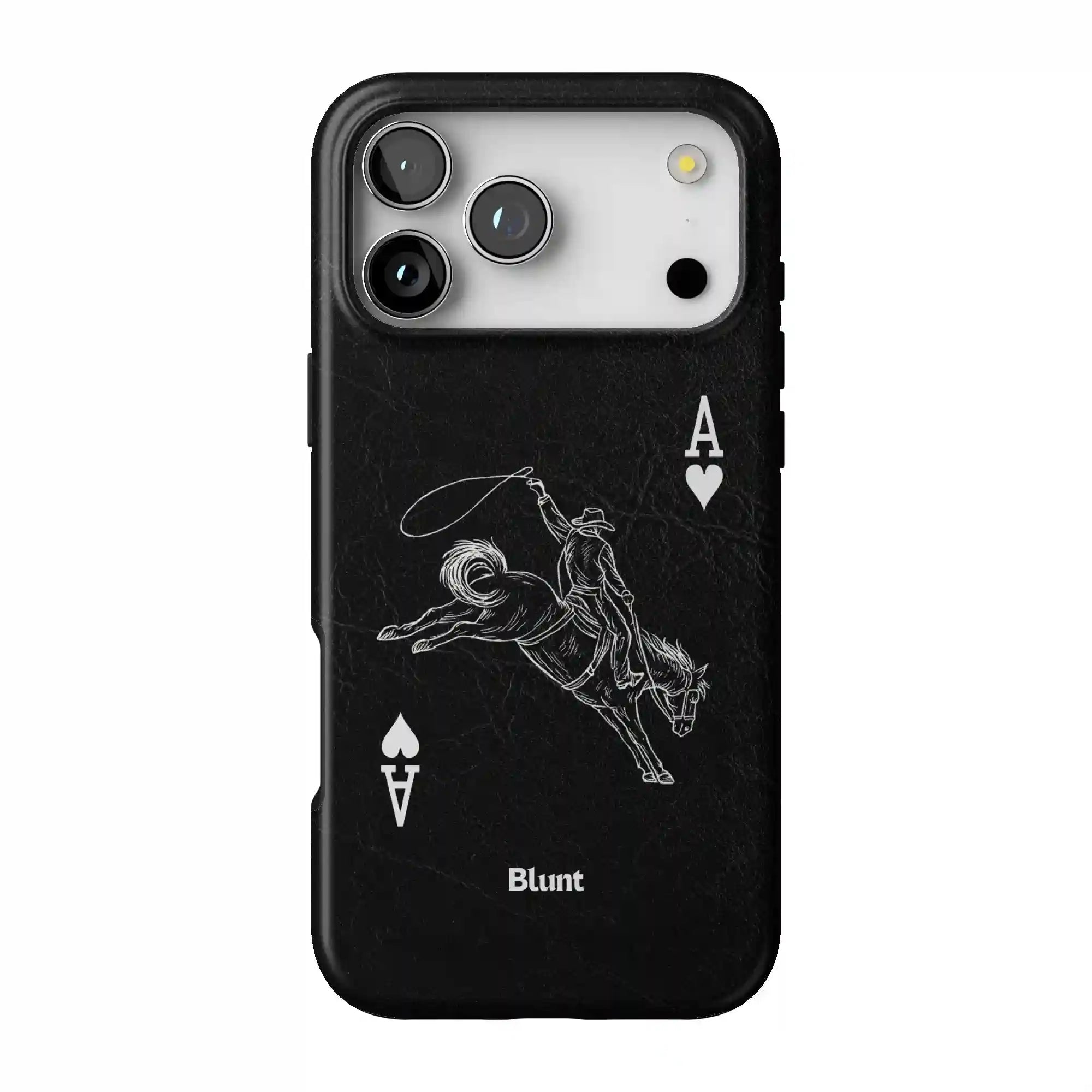 bluntcasesonline.com