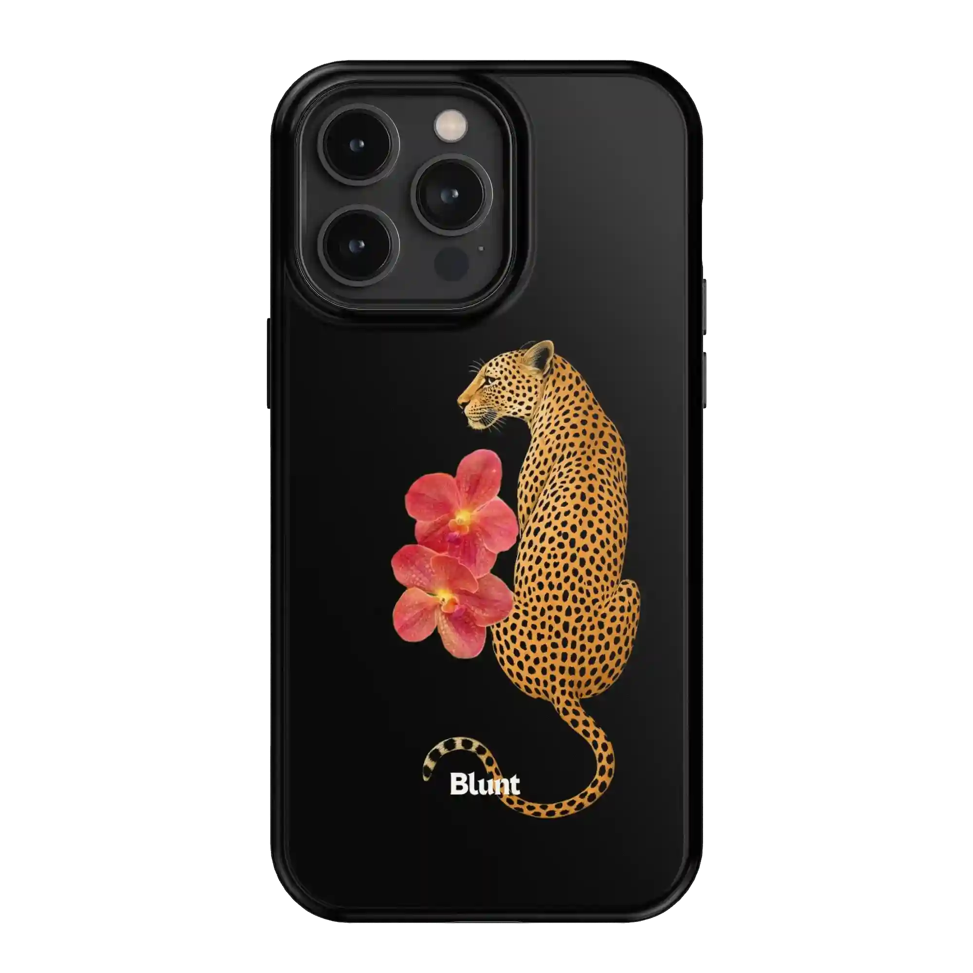 bluntcasesonline.com
