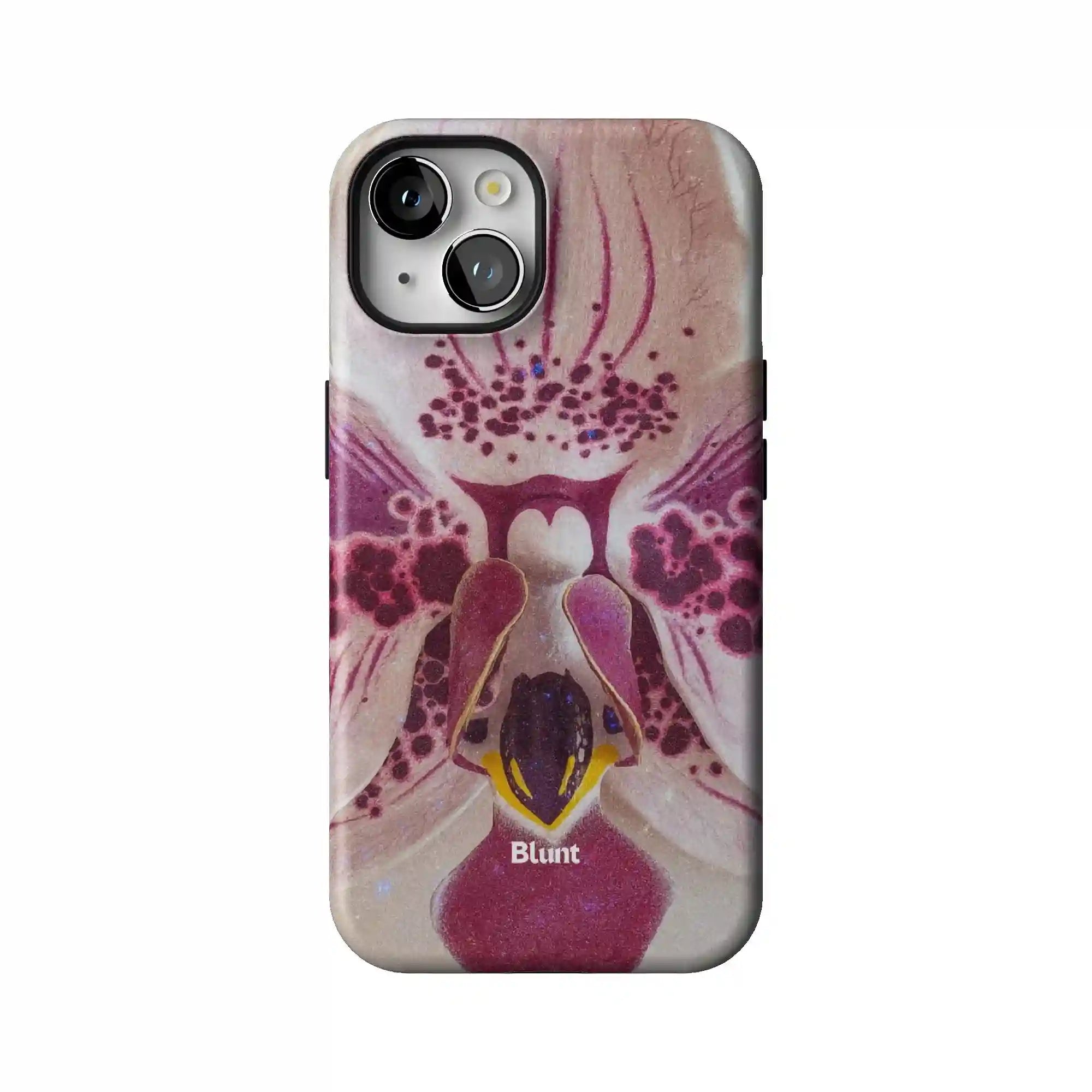 bluntcasesonline.com