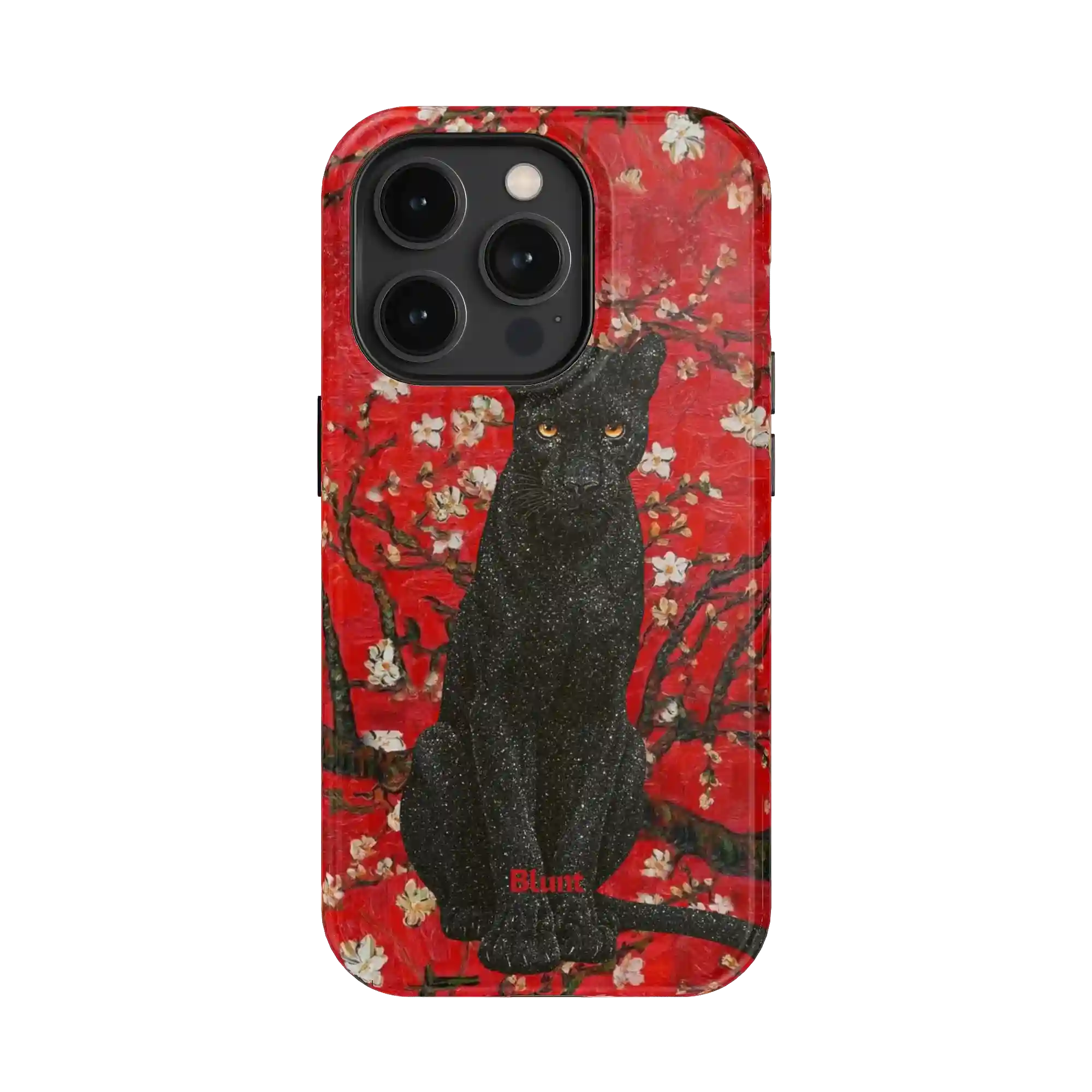 bluntcasesonline.com