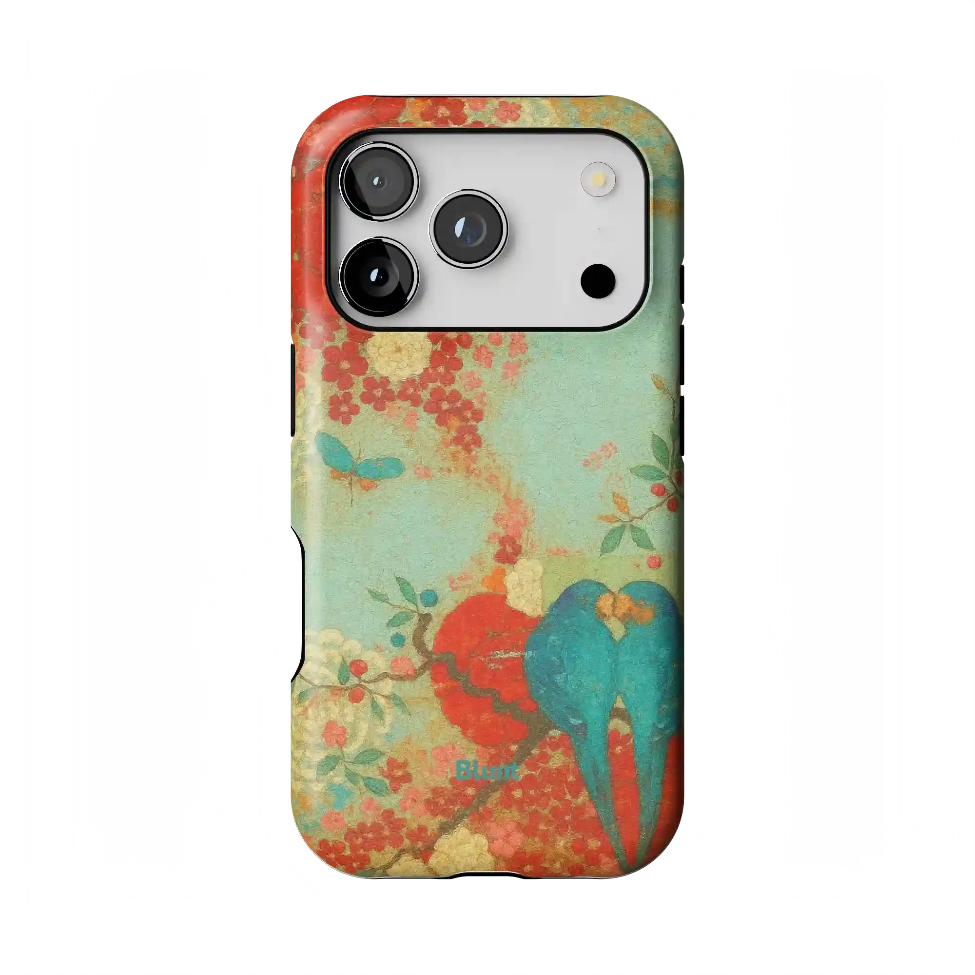 bluntcasesonline.com