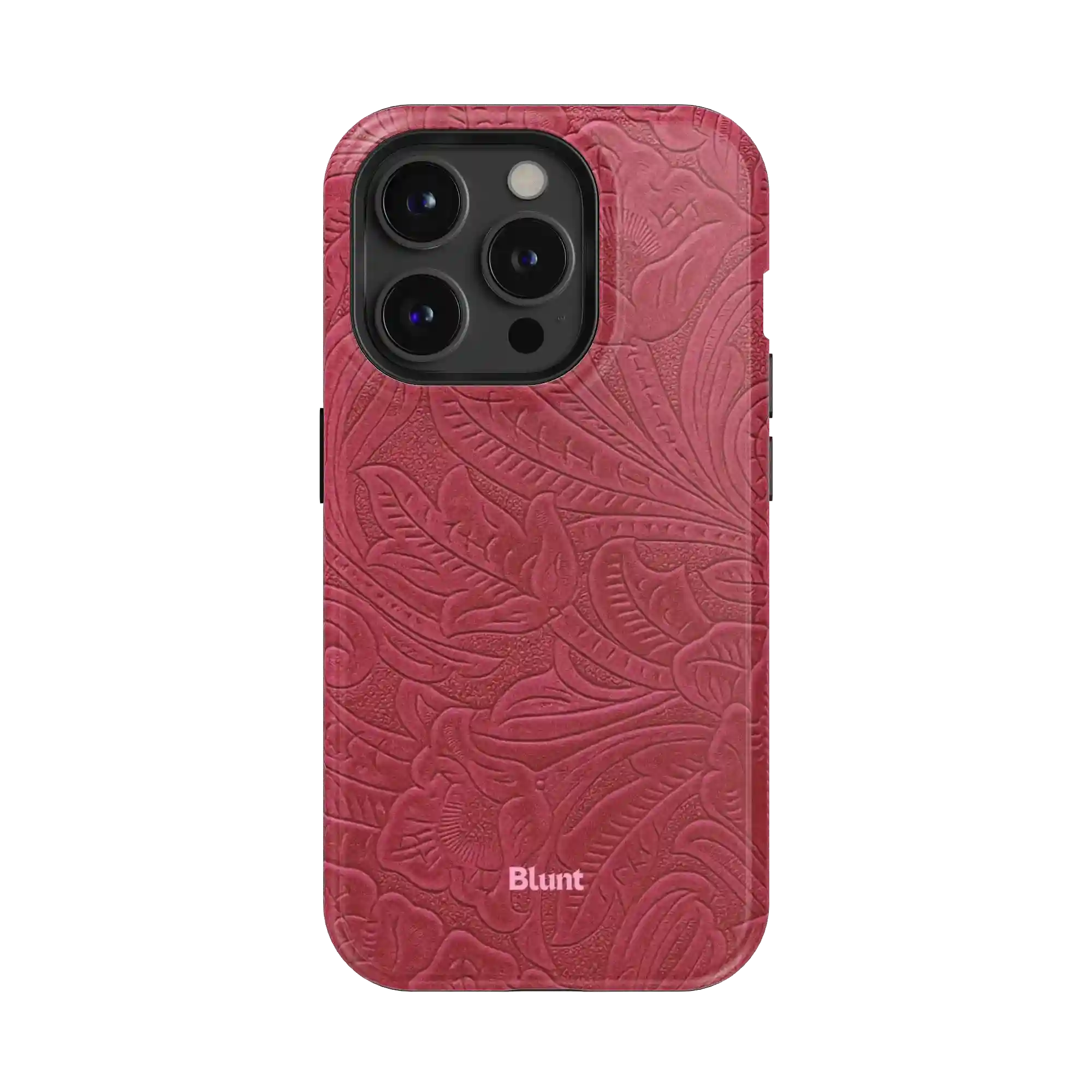 bluntcasesonline.com