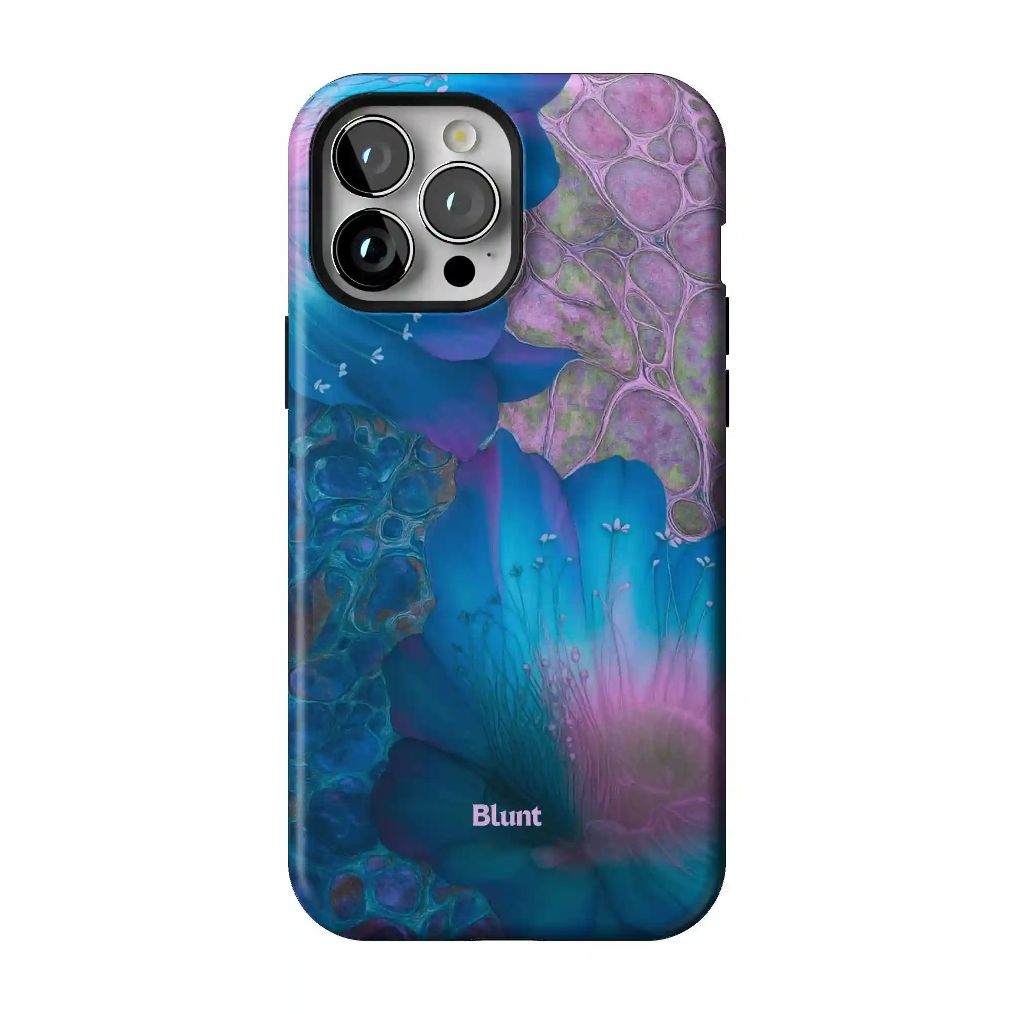 bluntcasesonline.com