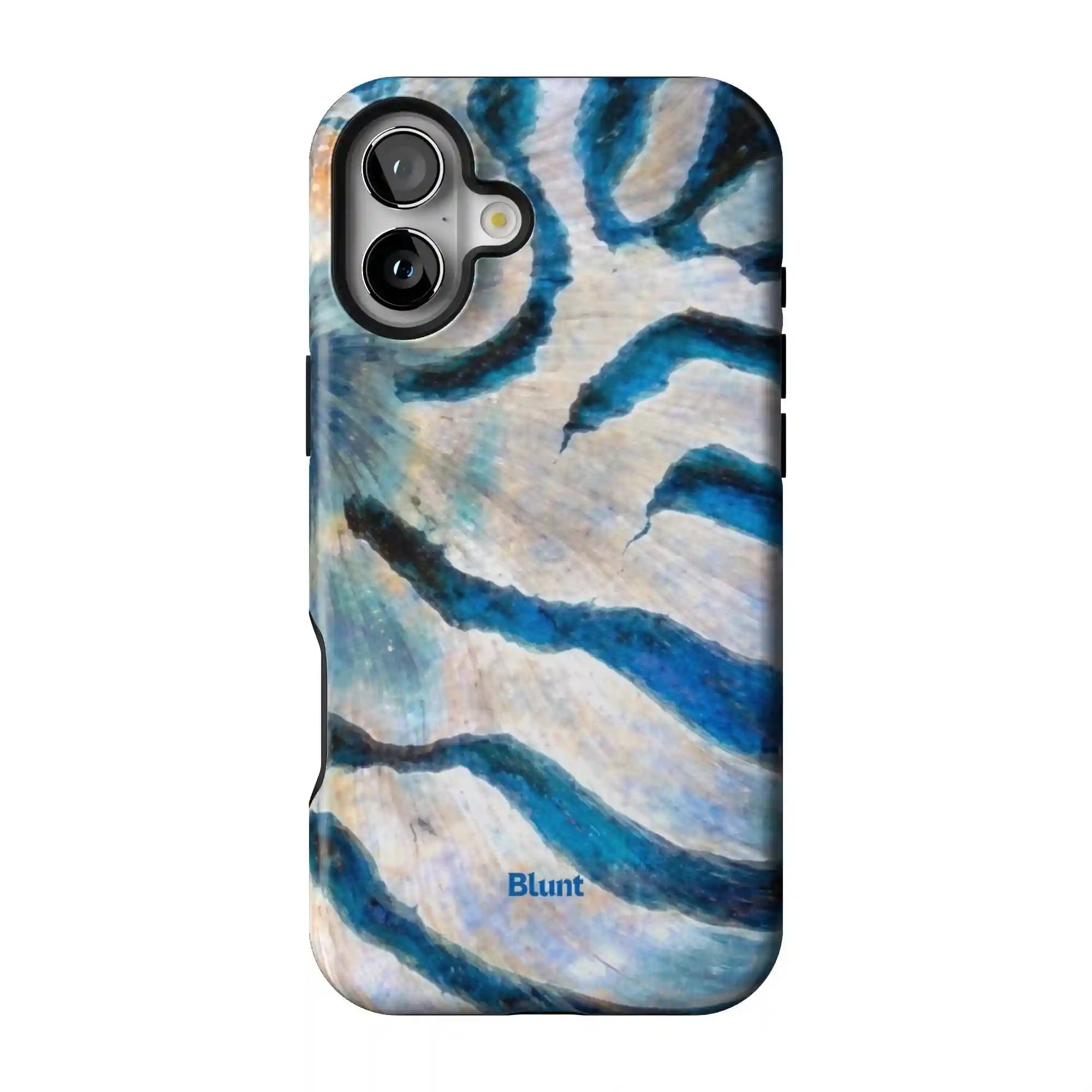bluntcasesonline.com