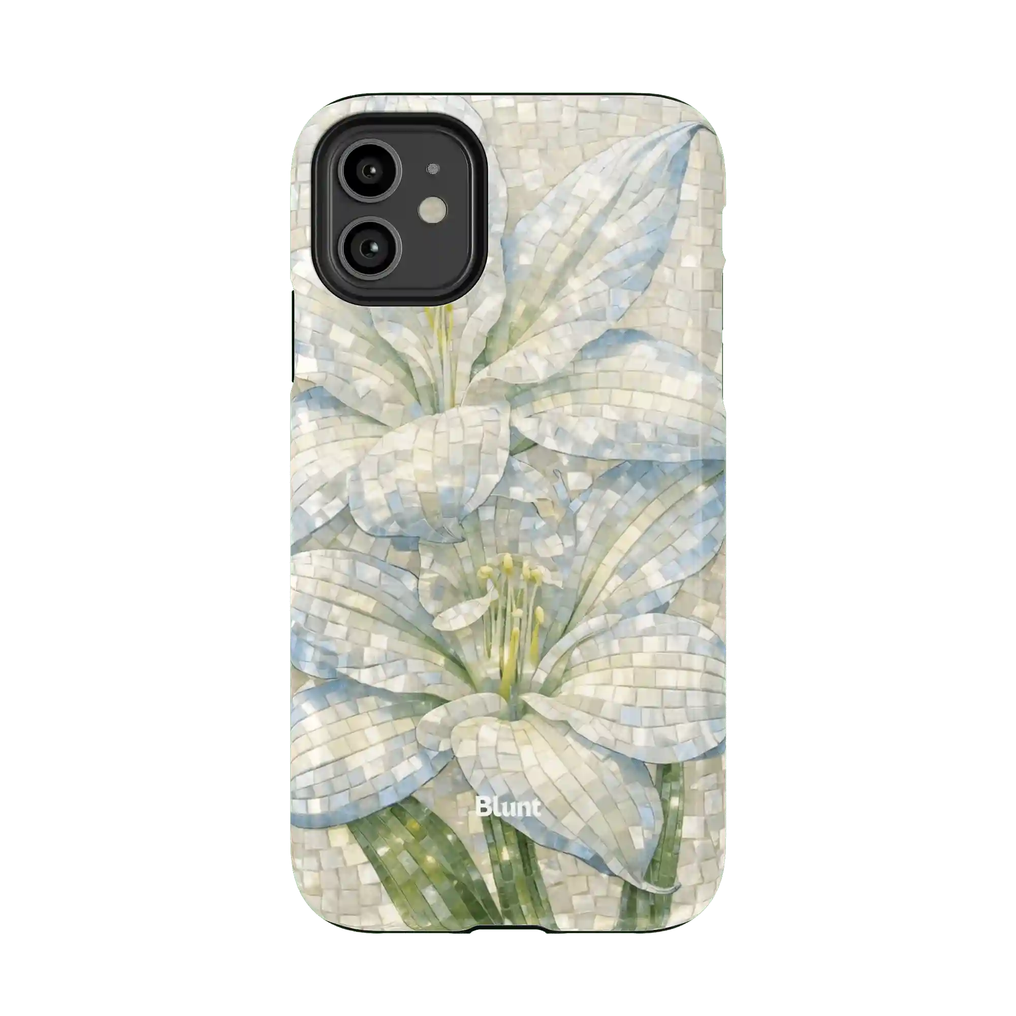 bluntcasesonline.com
