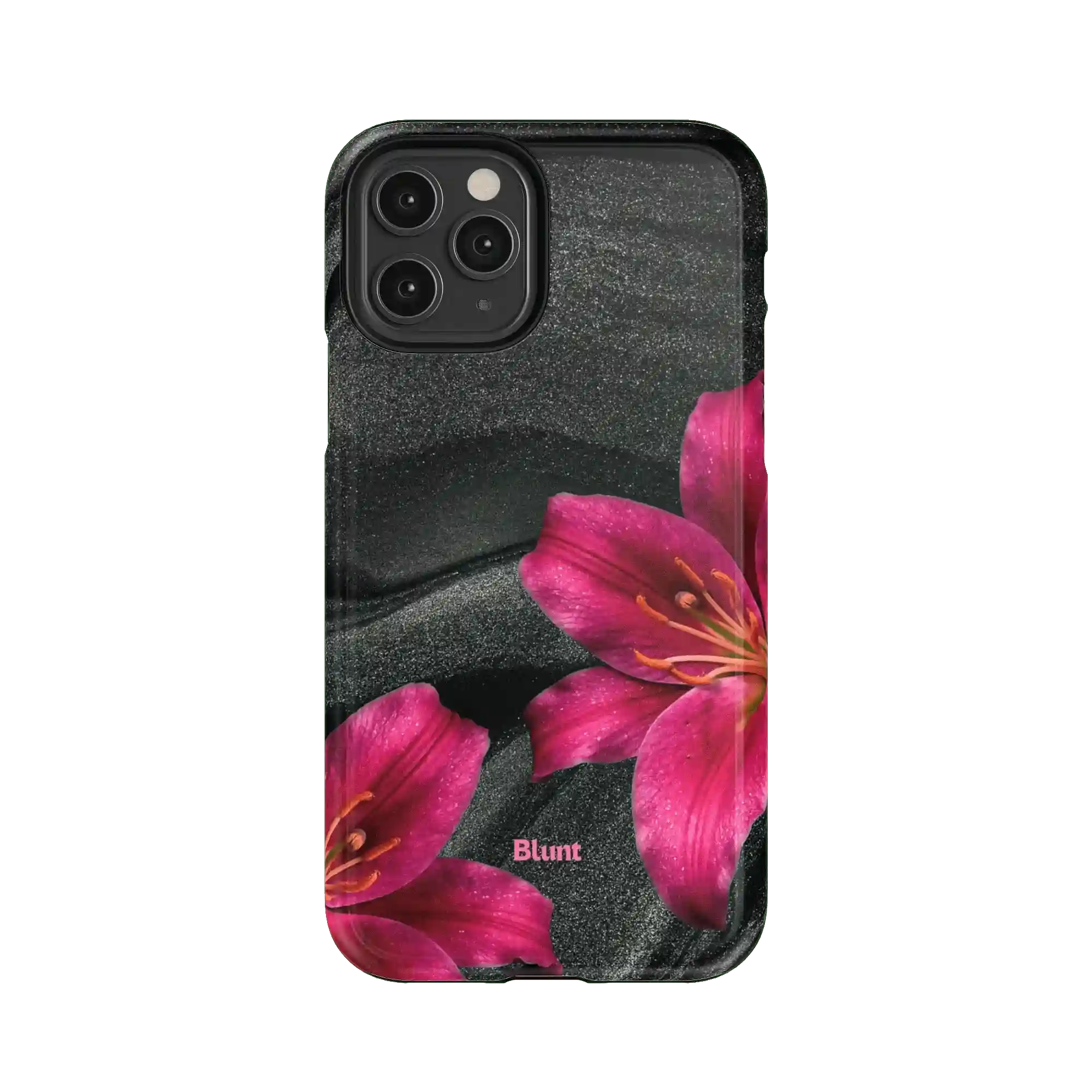 bluntcasesonline.com