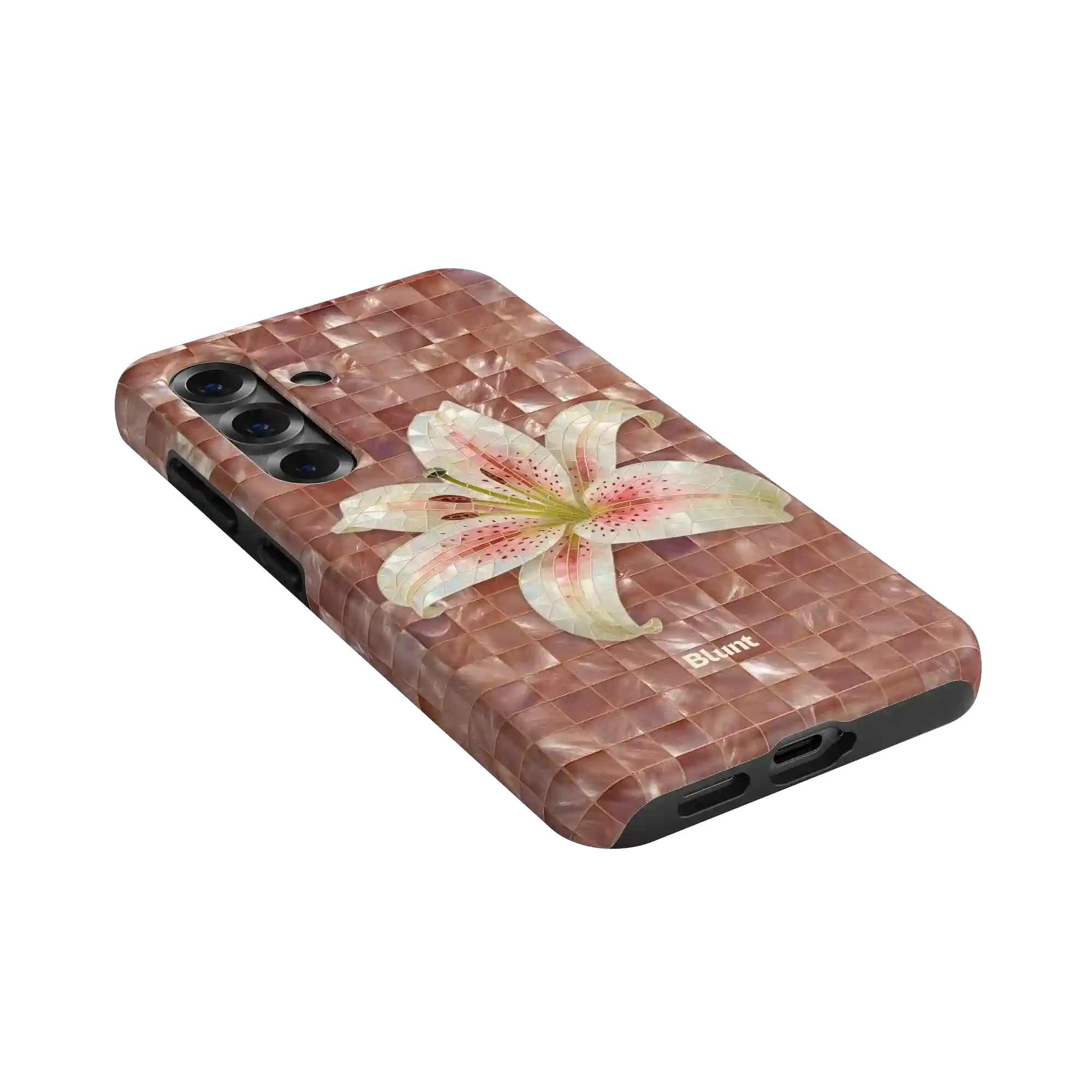 bluntcasesonline.com