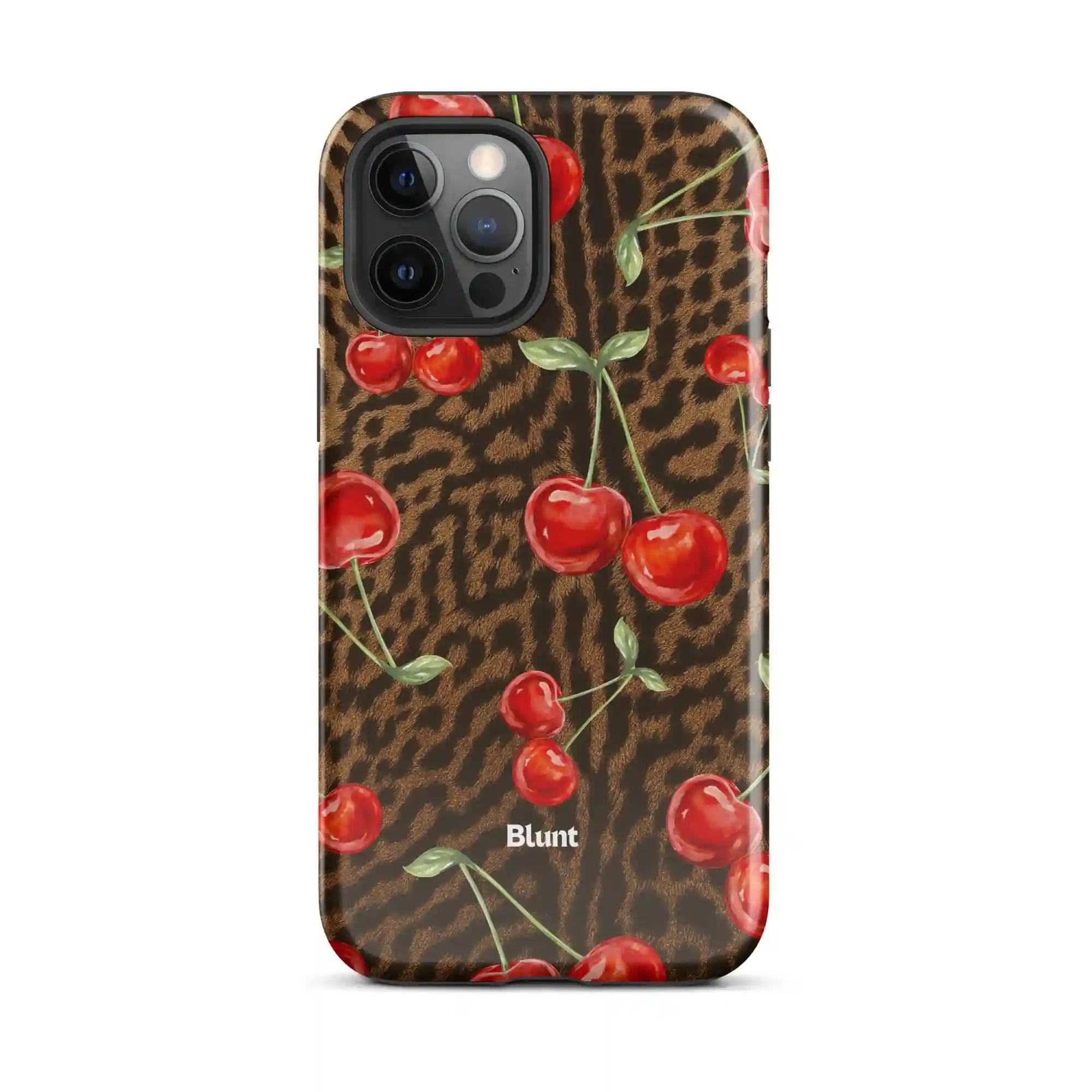 bluntcasesonline.com