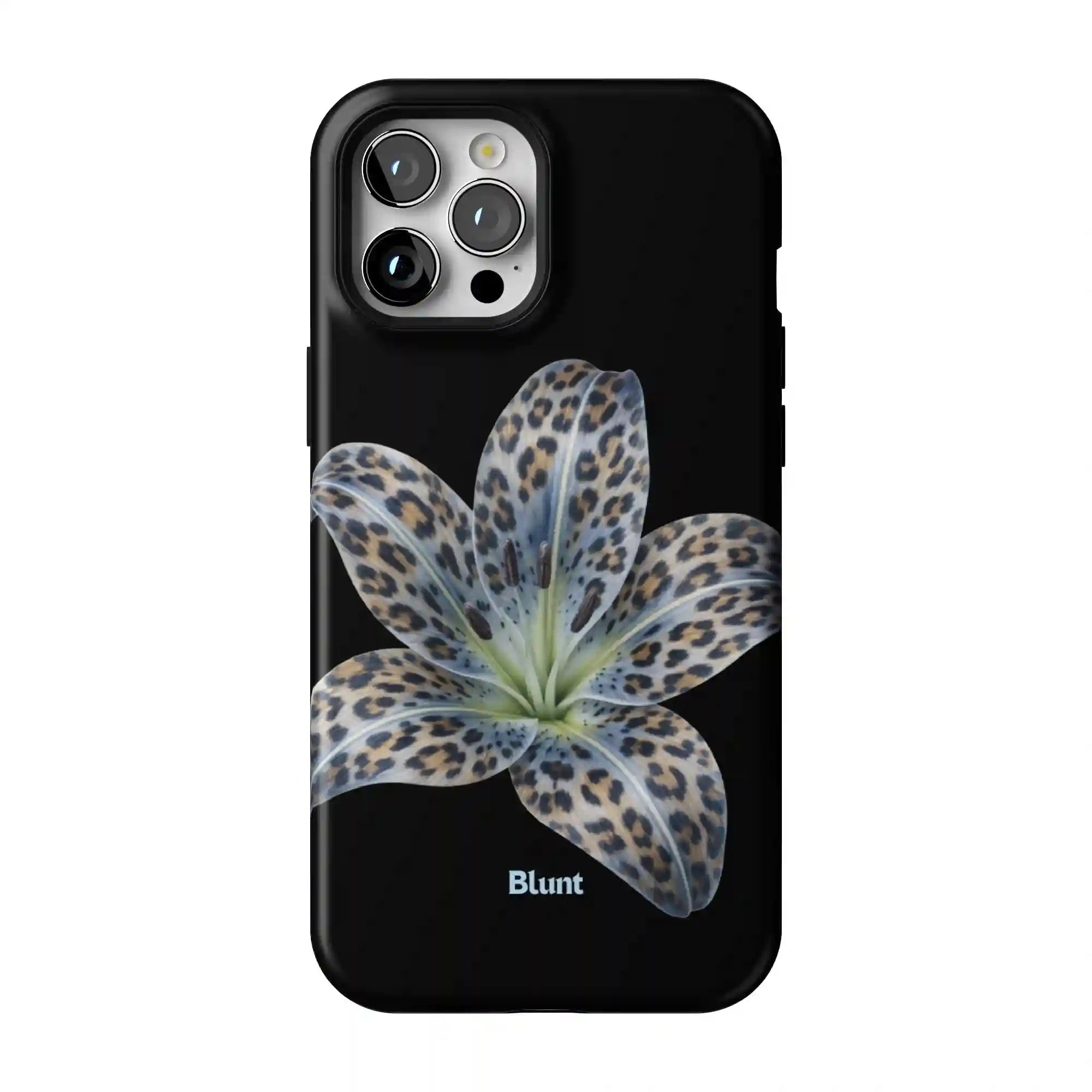 bluntcasesonline.com