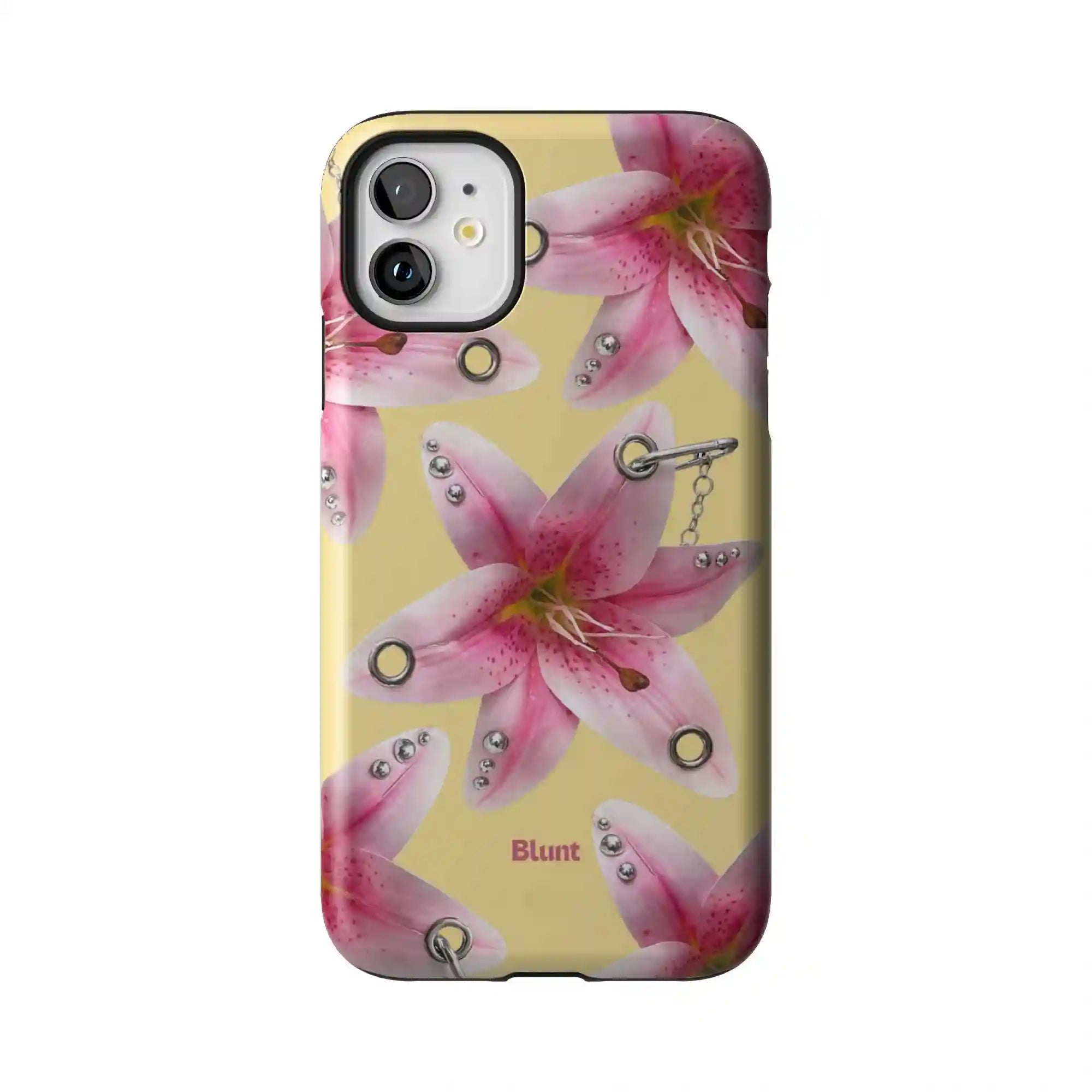 bluntcasesonline.com
