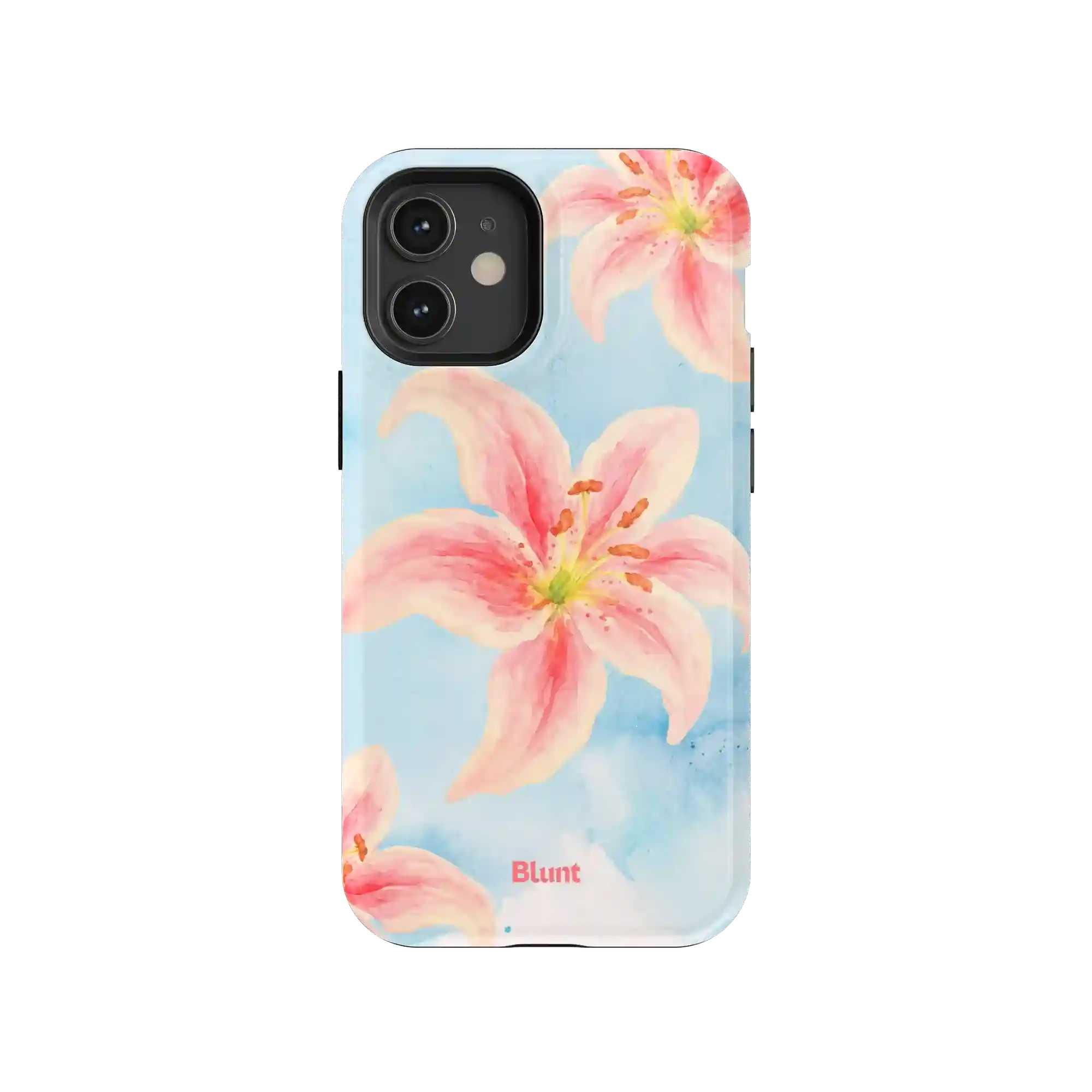 bluntcasesonline.com