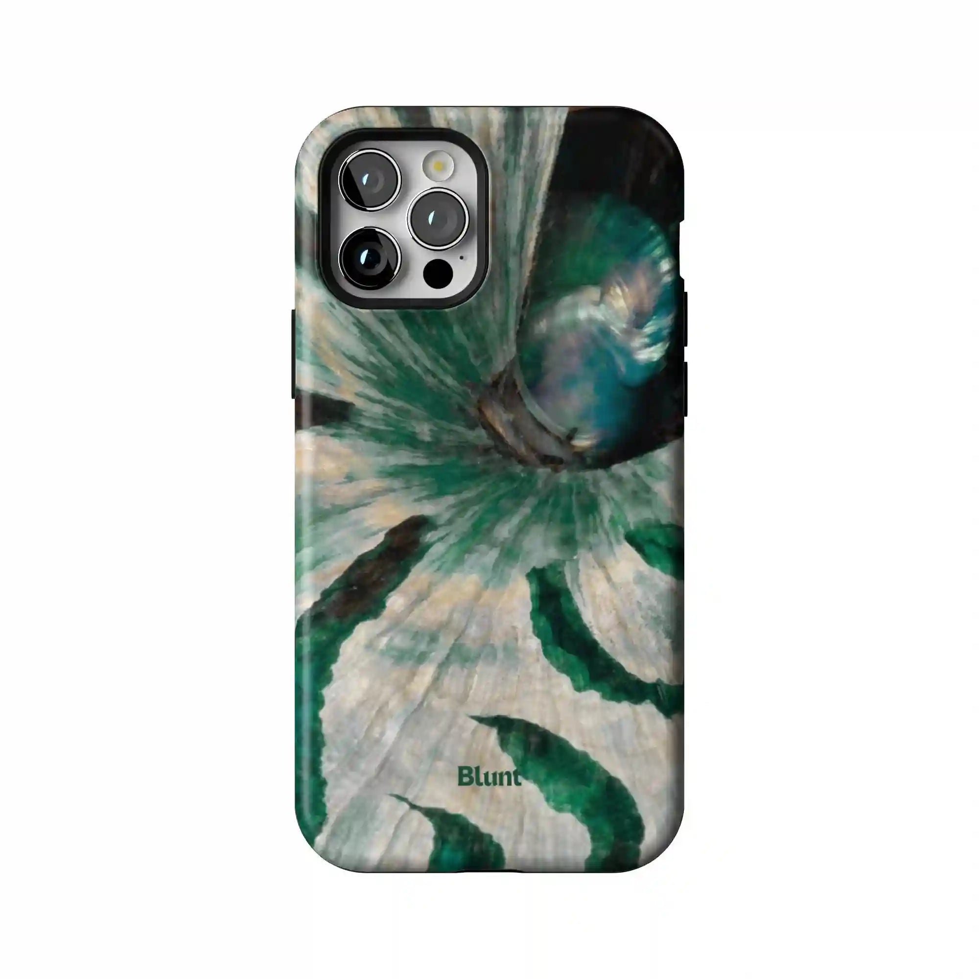bluntcasesonline.com