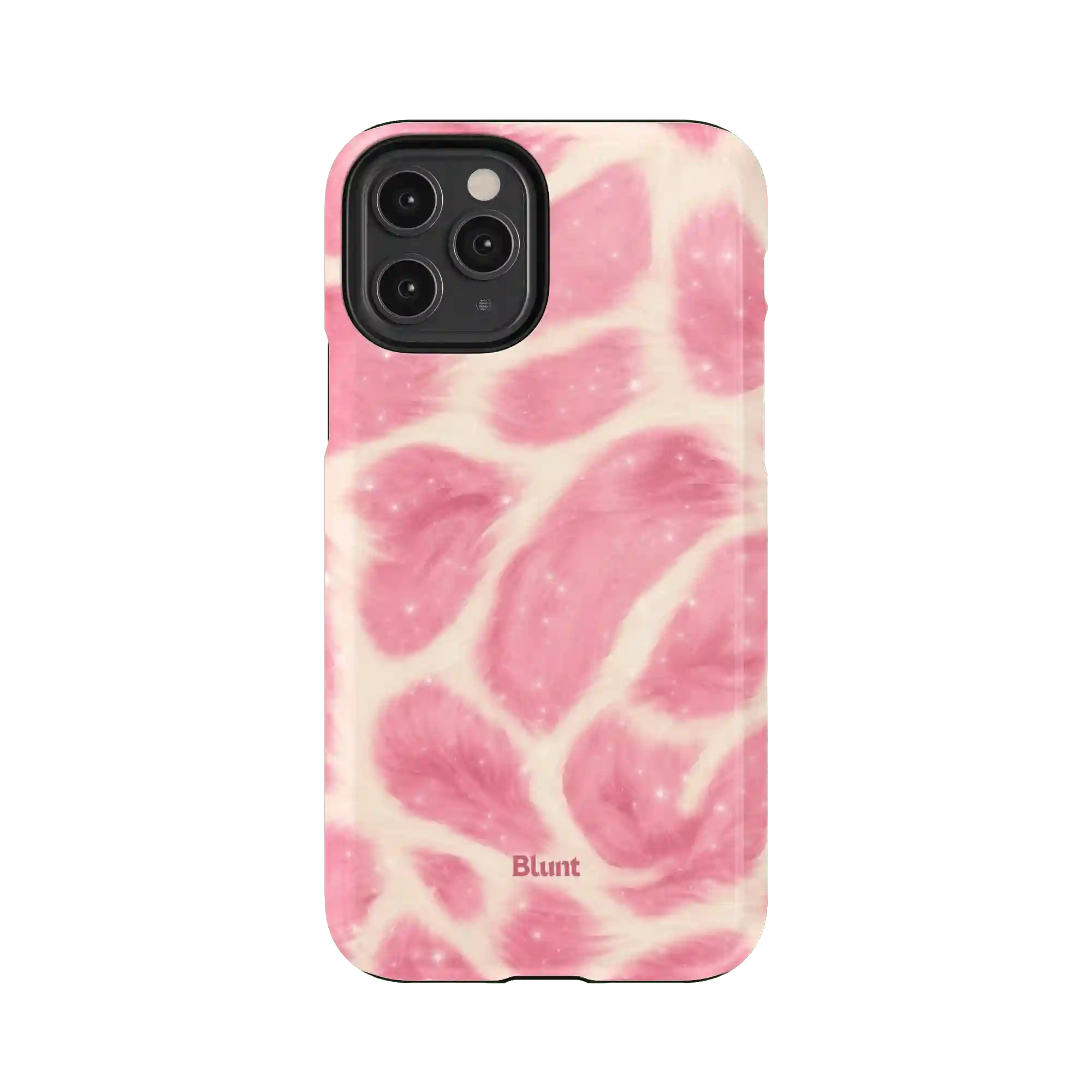 bluntcasesonline.com