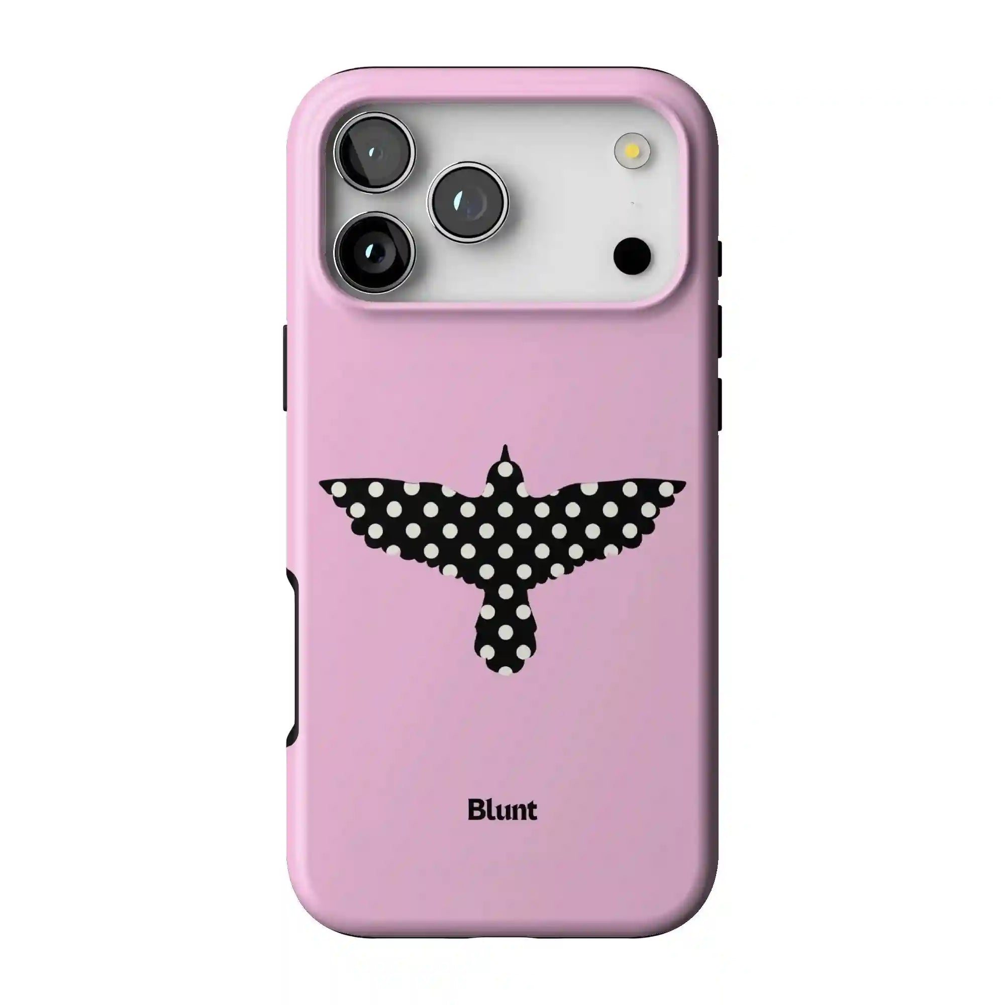 bluntcasesonline.com