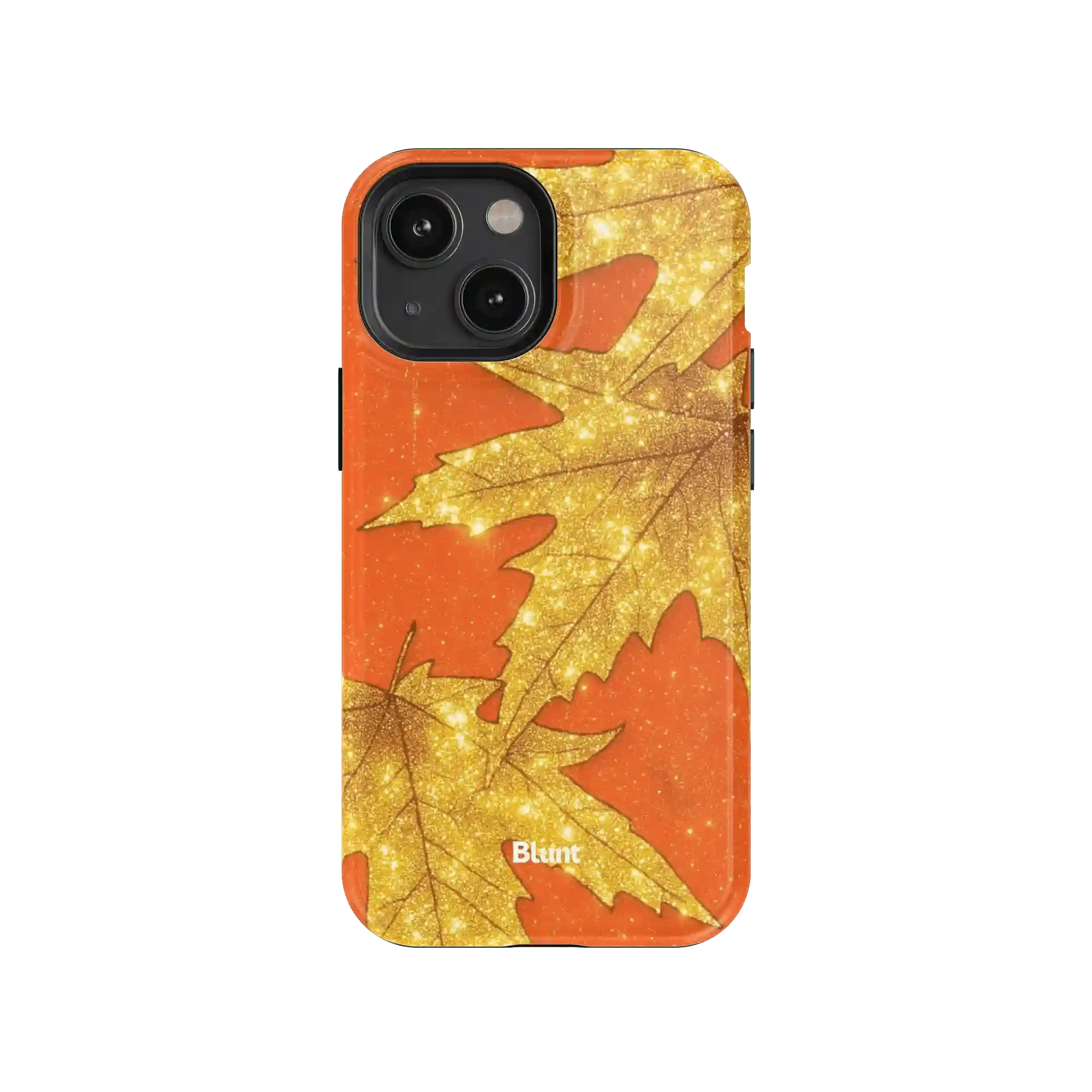 bluntcasesonline.com