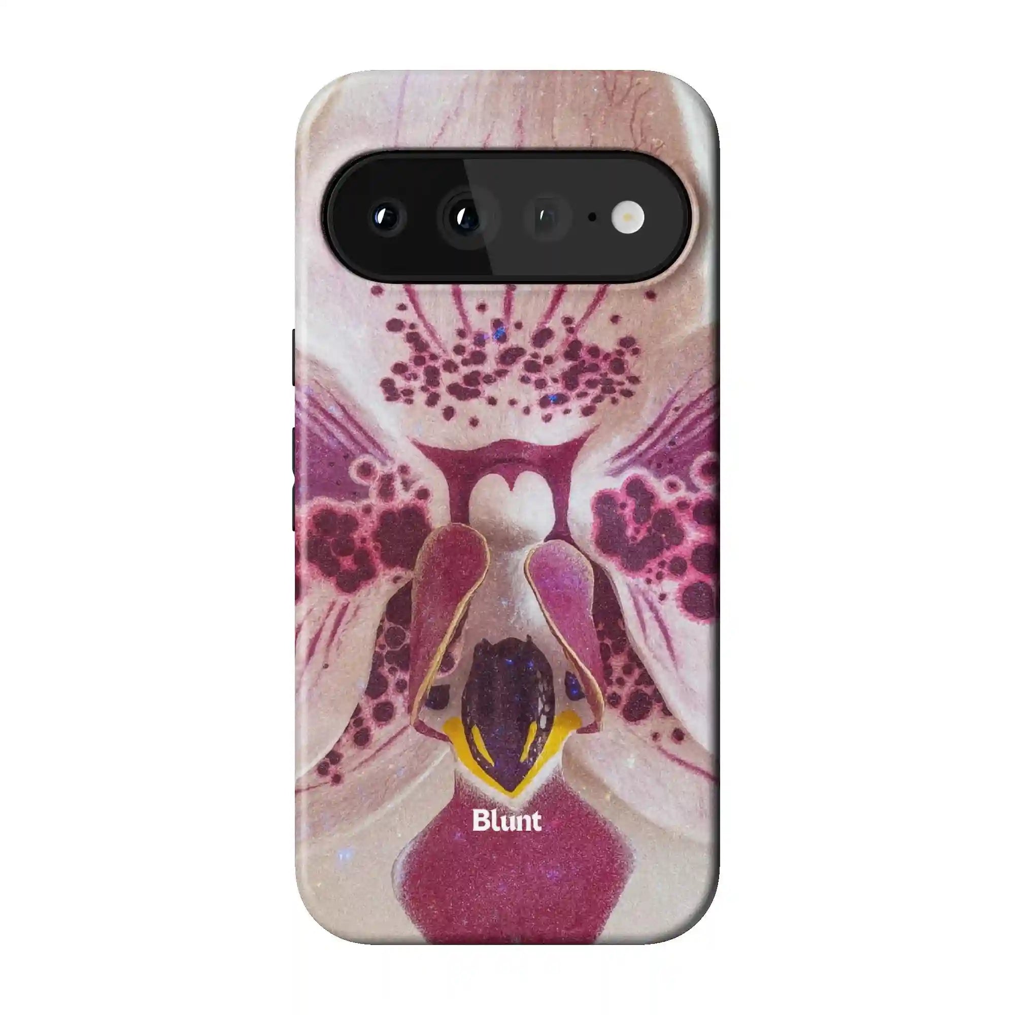 bluntcasesonline.com