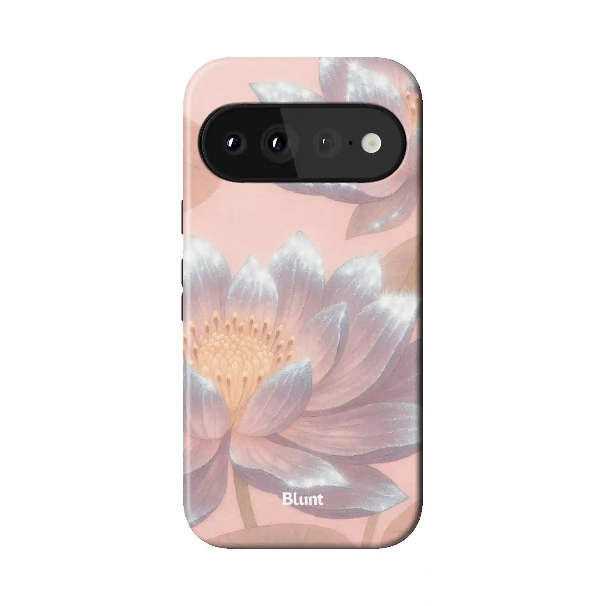 bluntcasesonline.com
