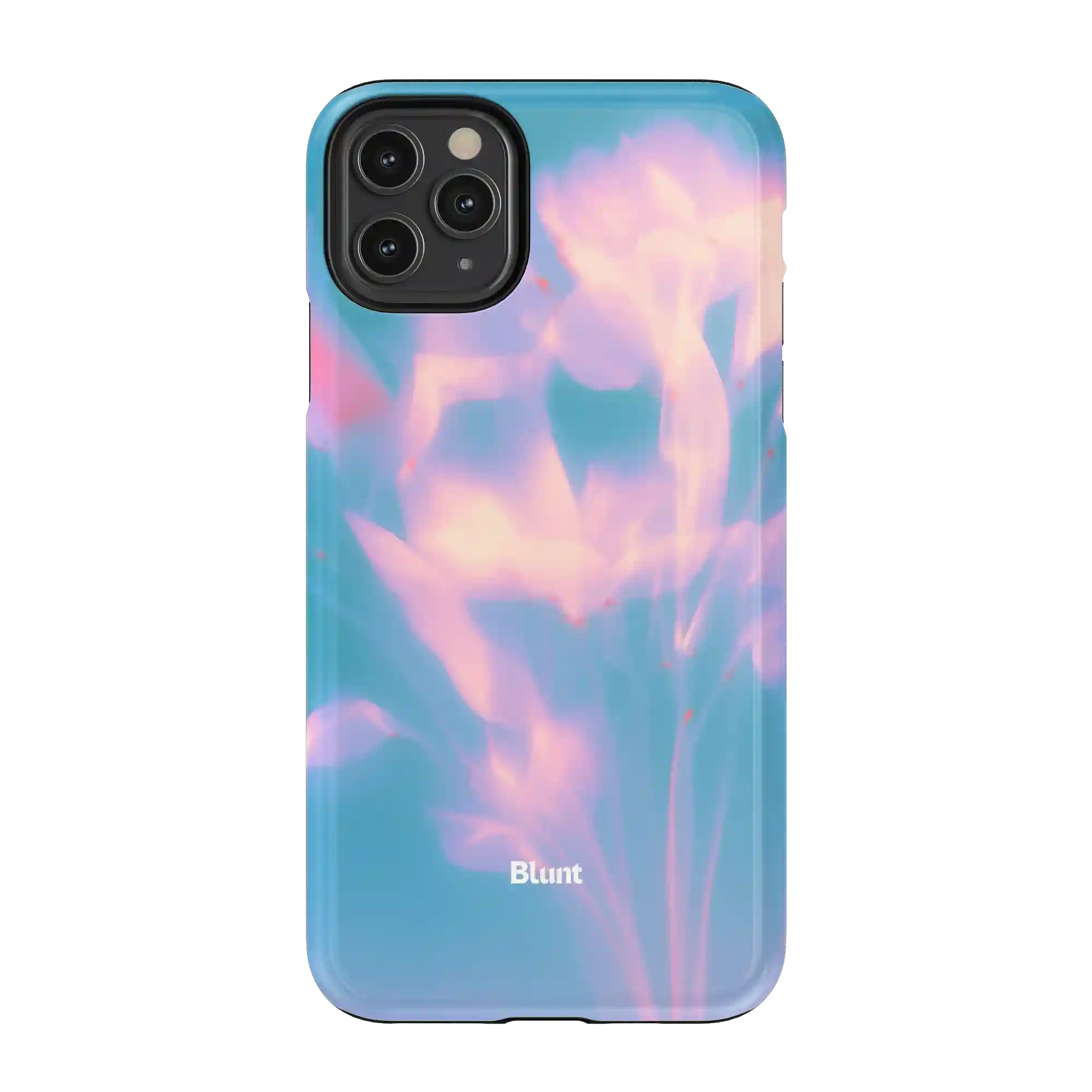 bluntcasesonline.com