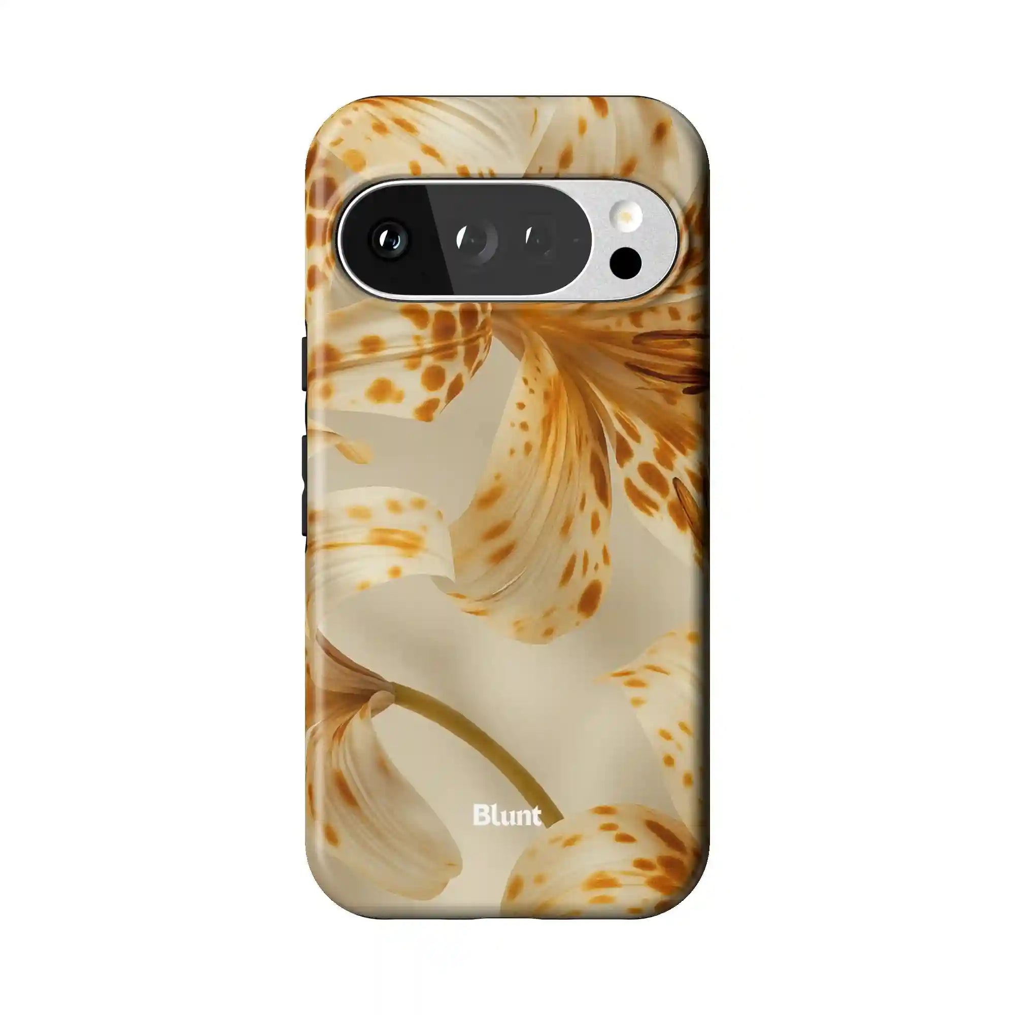bluntcasesonline.com