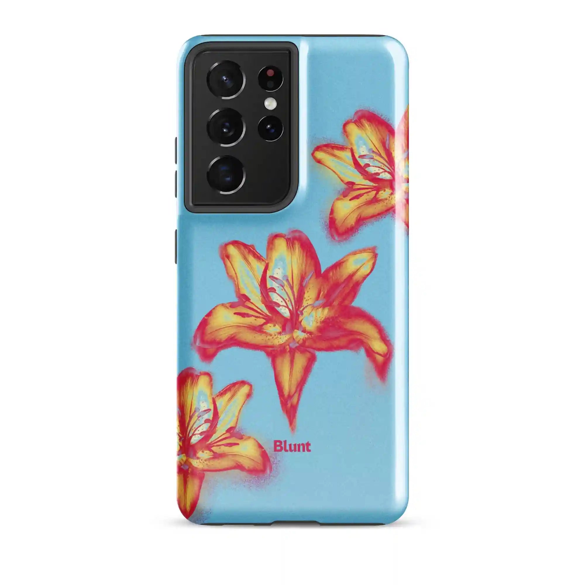 bluntcasesonline.com